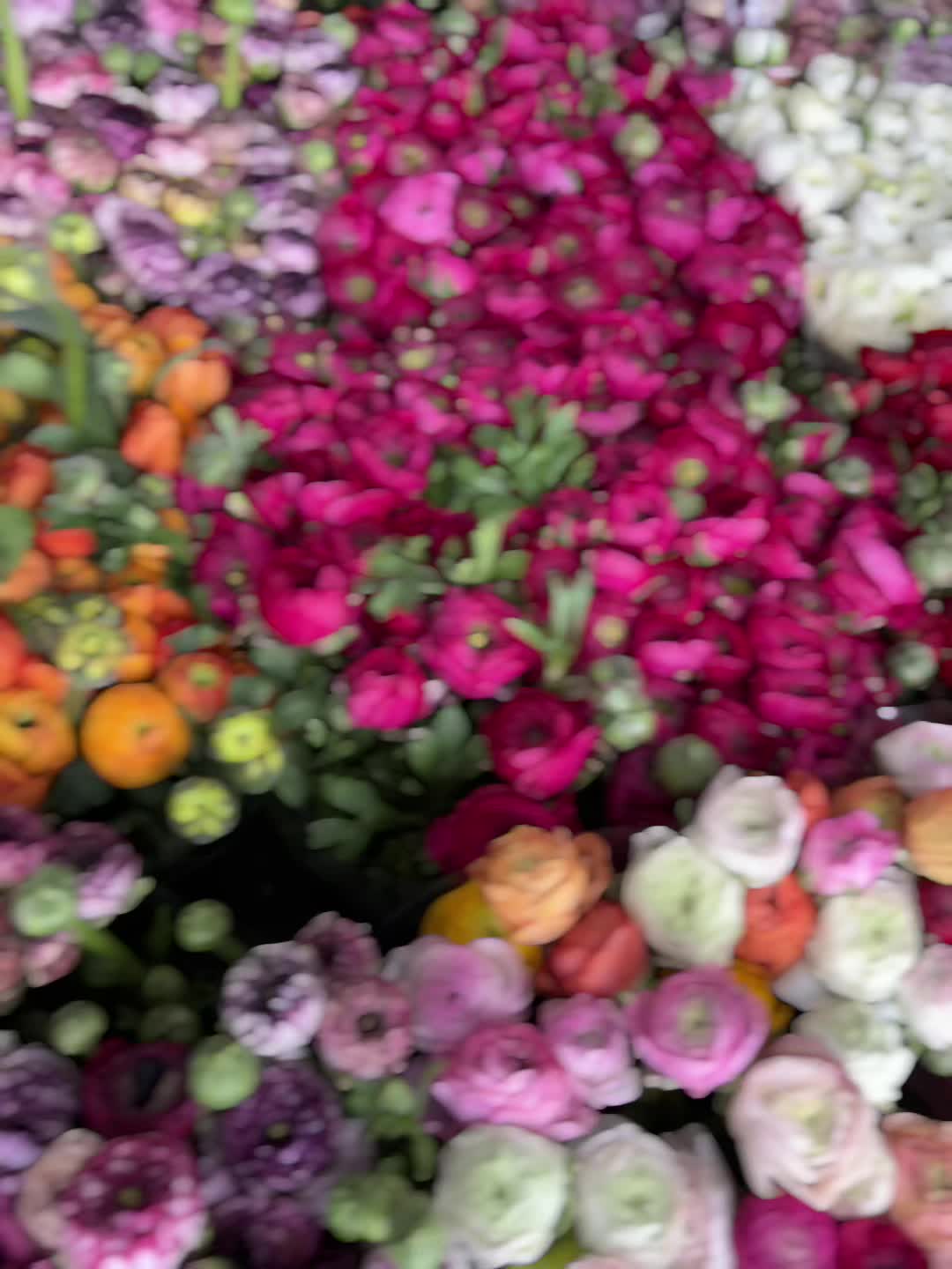 @Casconefiori