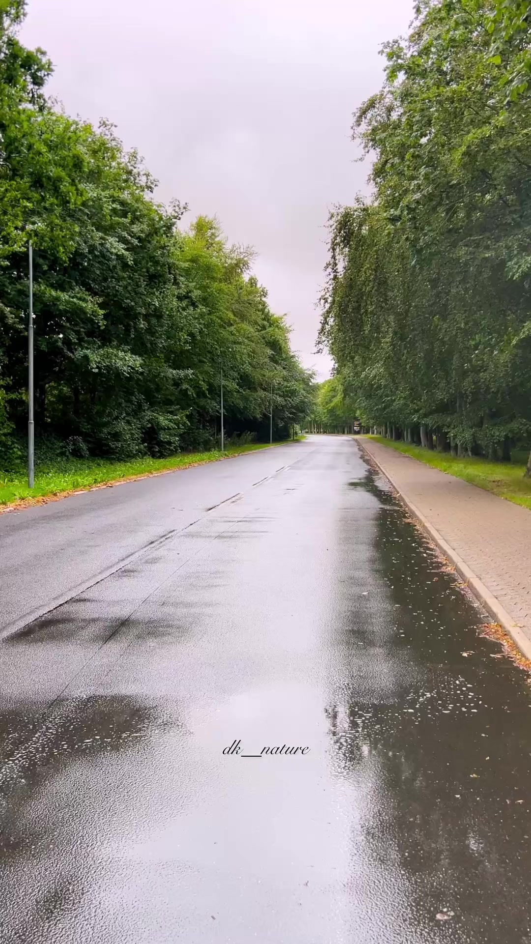 @dk__nature 🇩🇰