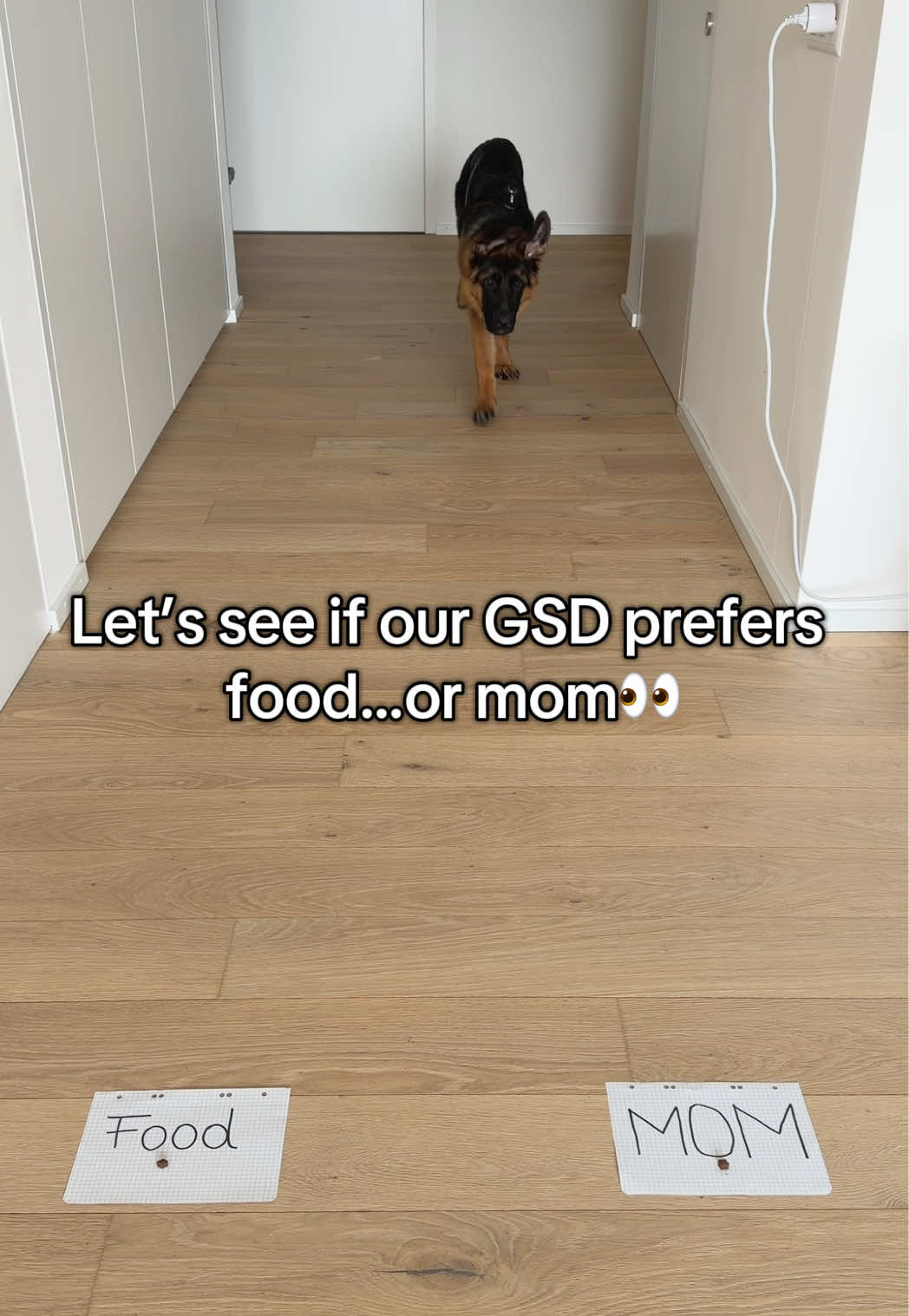 @gsd.kuba