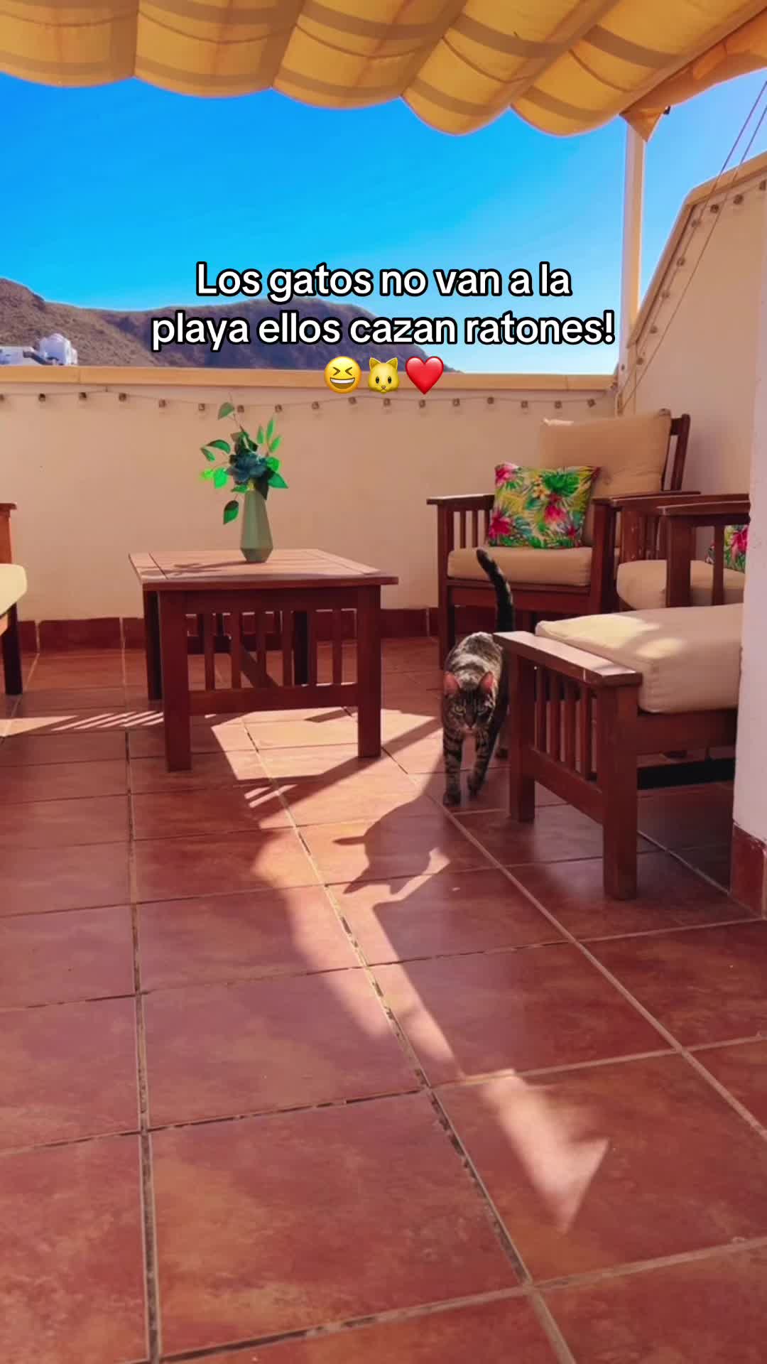 @Mariposa Guayaca