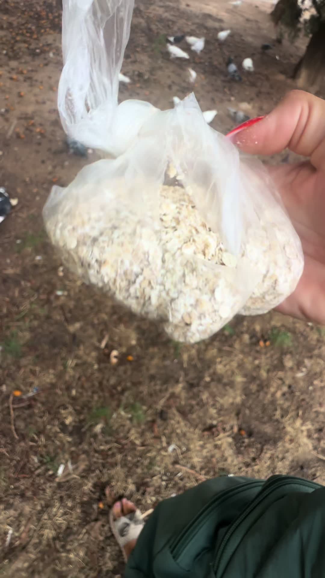 @KyraMagic