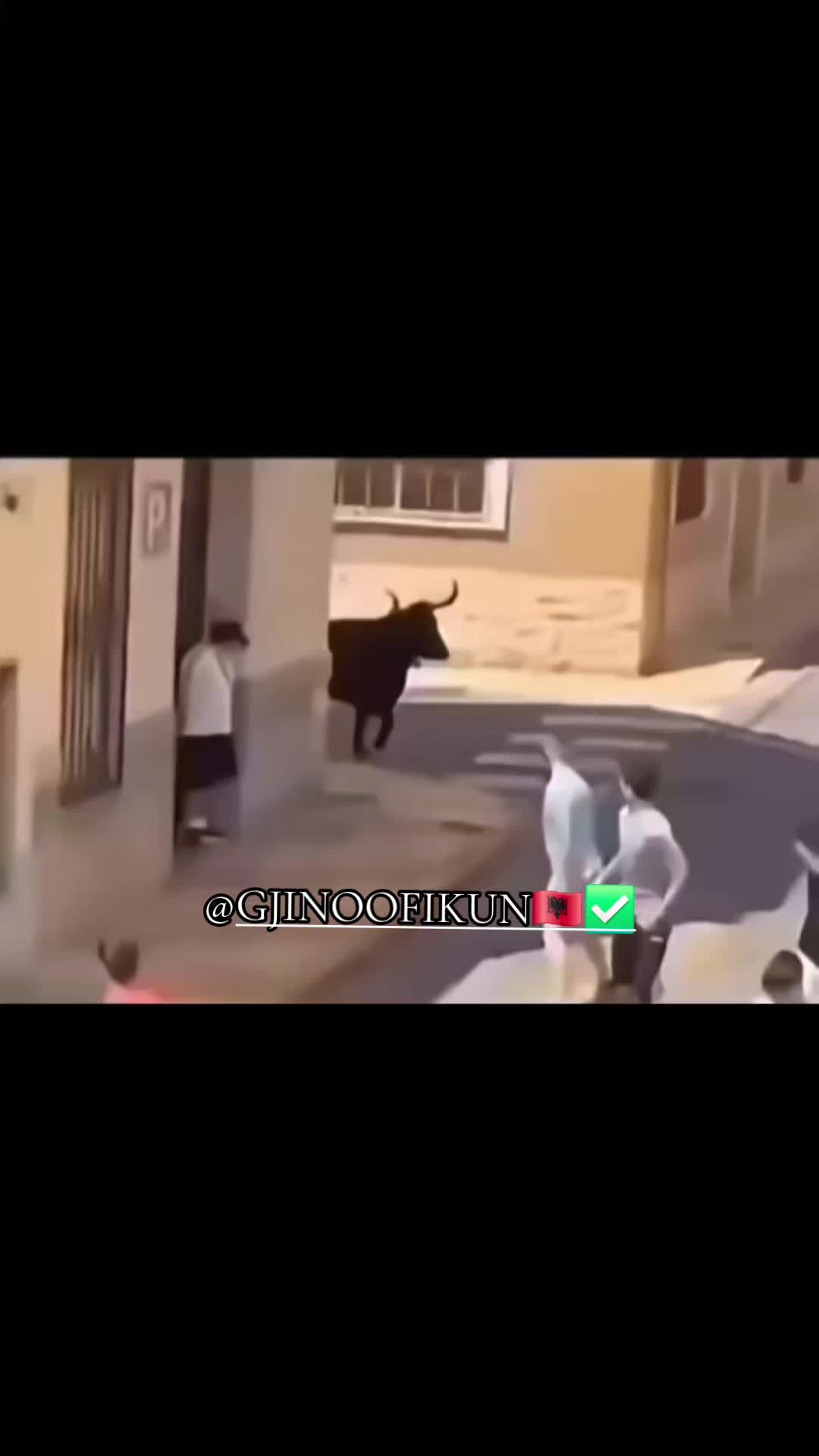 @GJINOOFIKUN🇦🇱✅️