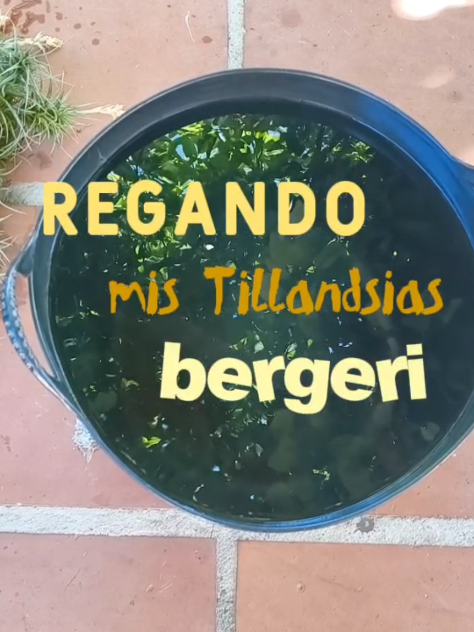 @𝑴𝒊 P𝒂𝒕𝒊𝒐𝒉𝒖𝒆𝒓𝒕𝒐