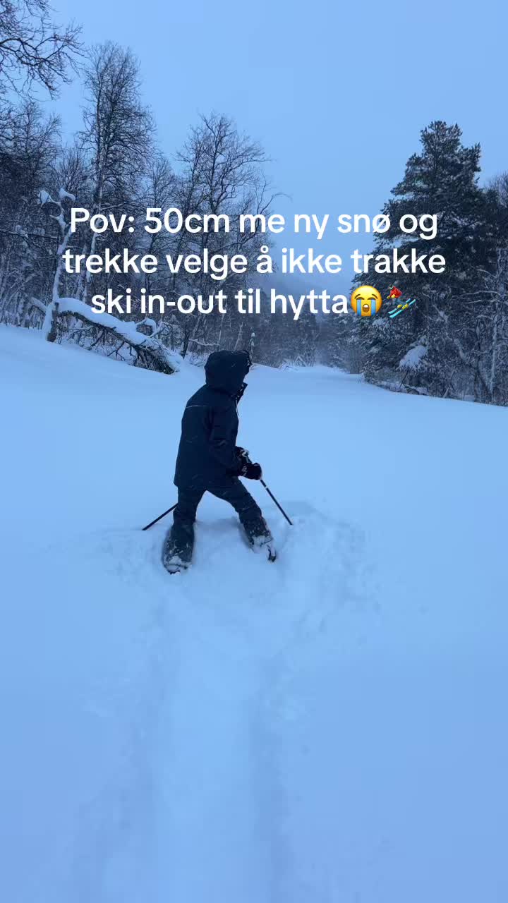 @loneullas