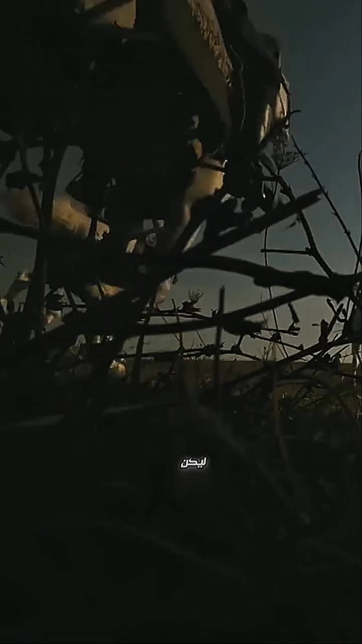 @๐๐๐๐ ๐๐๐ผ๐๐๐