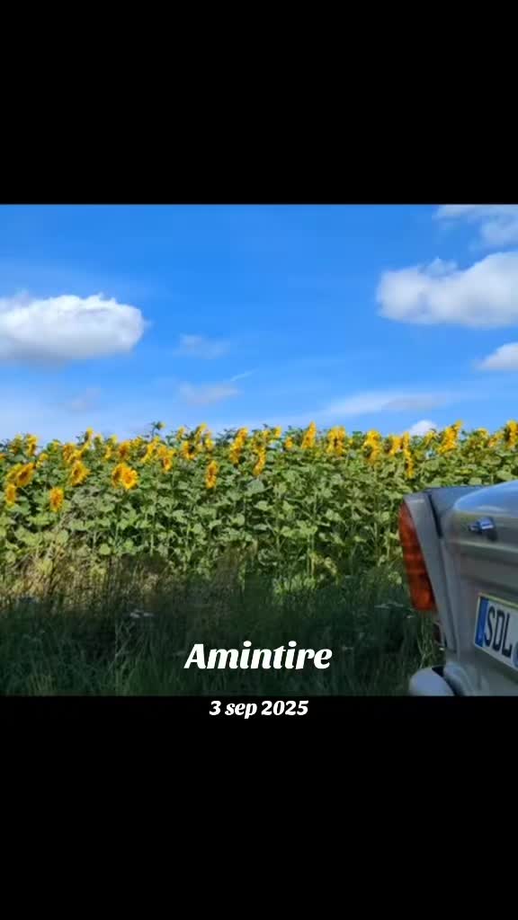 @Planând în adâncuri