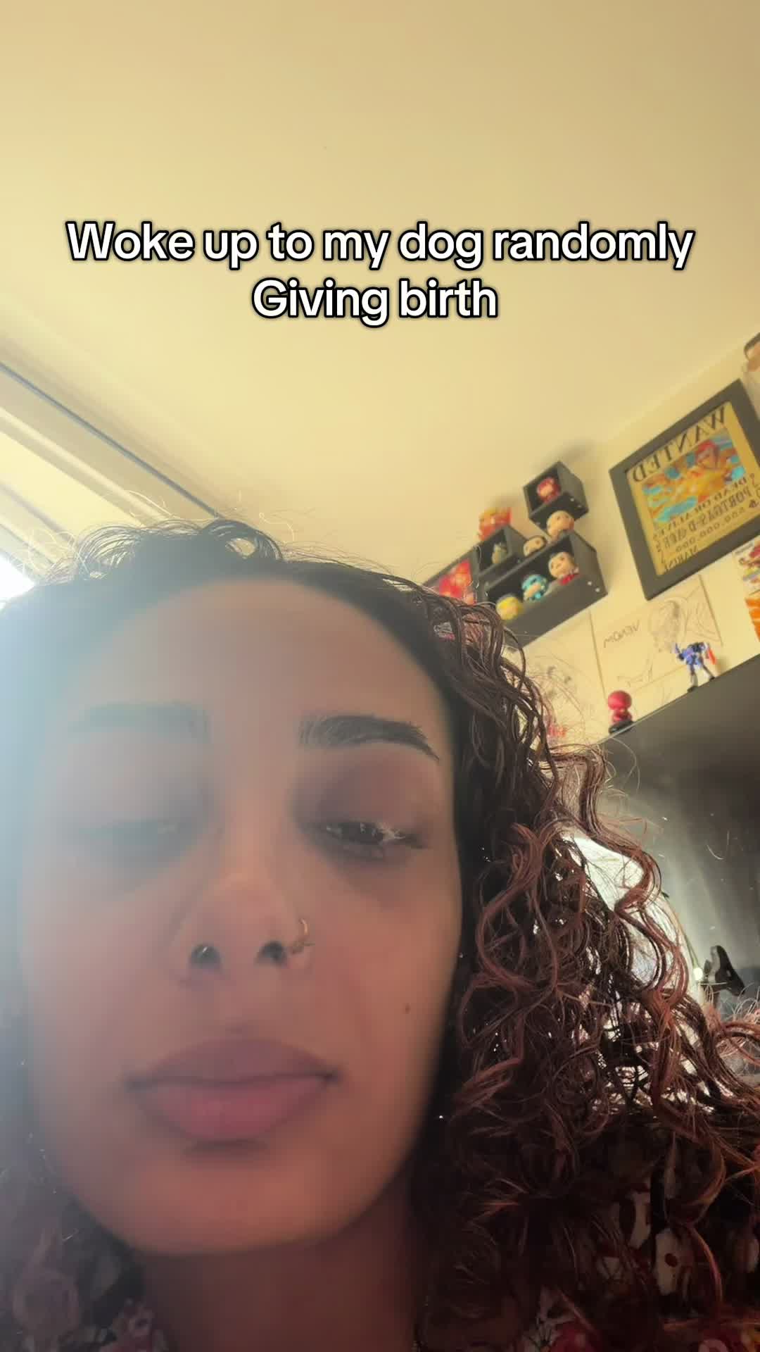 @Farah Shams