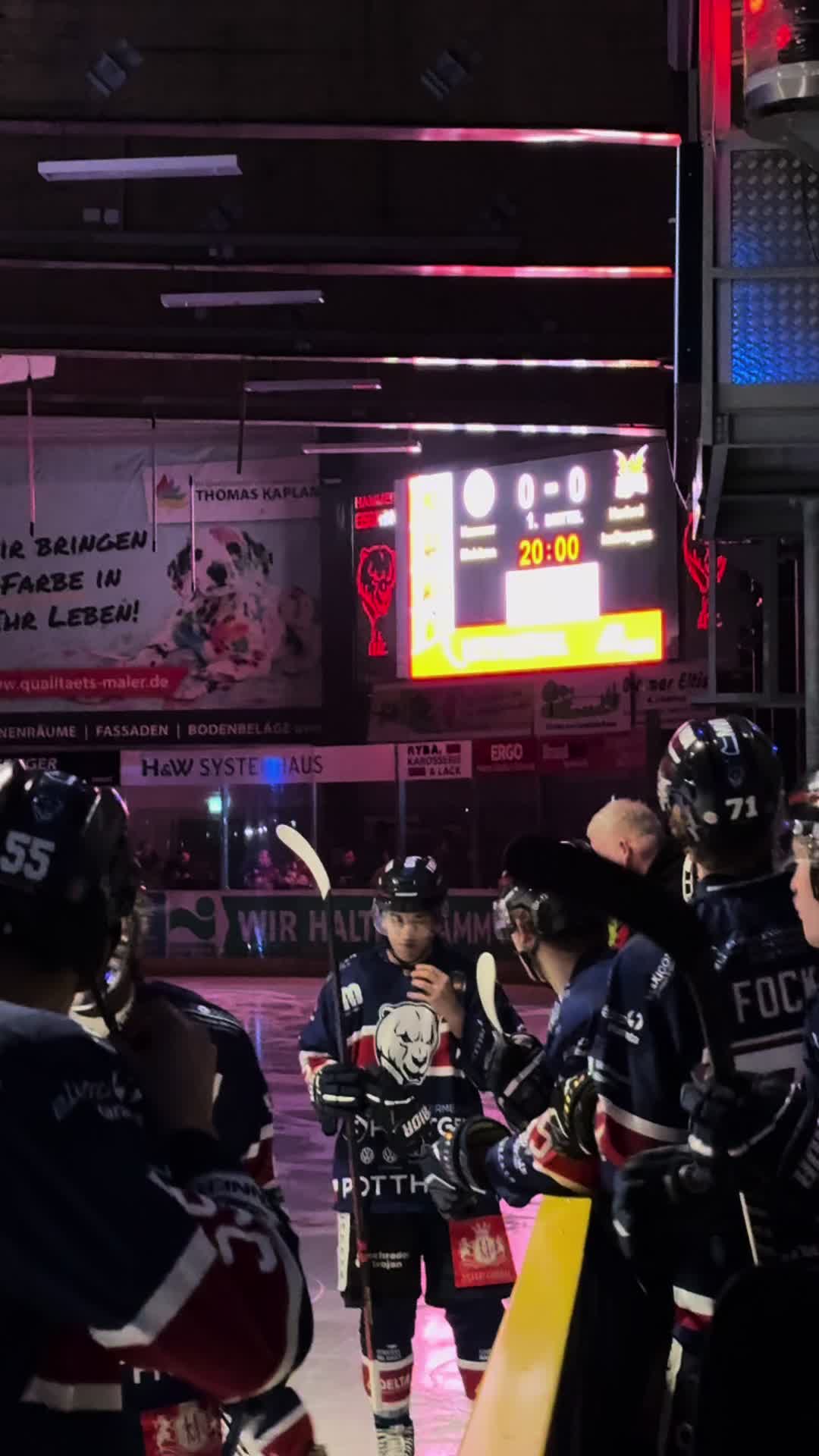 @Hammer Eisbären