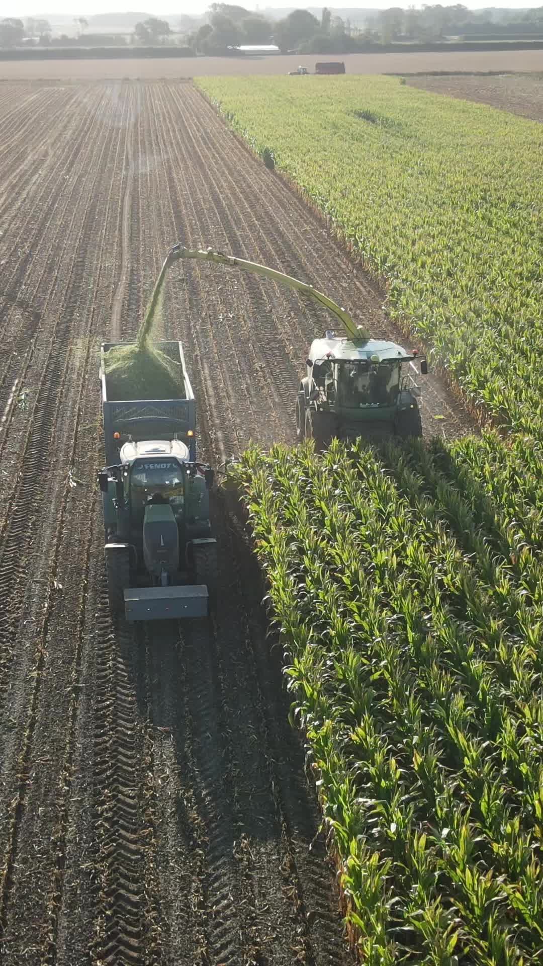 @agri_george