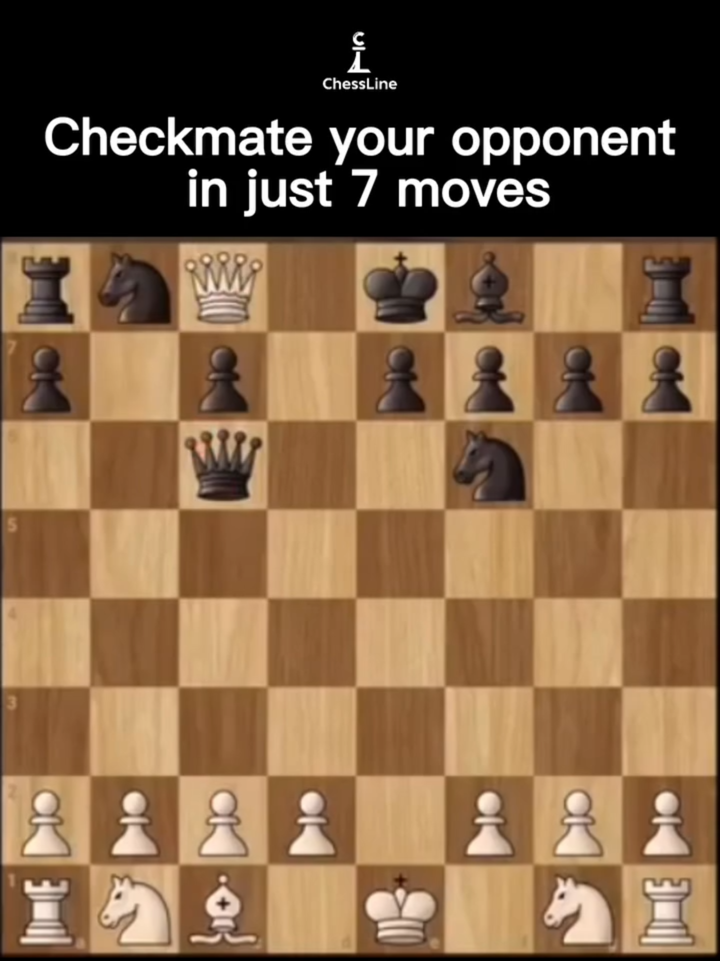@chessline.io