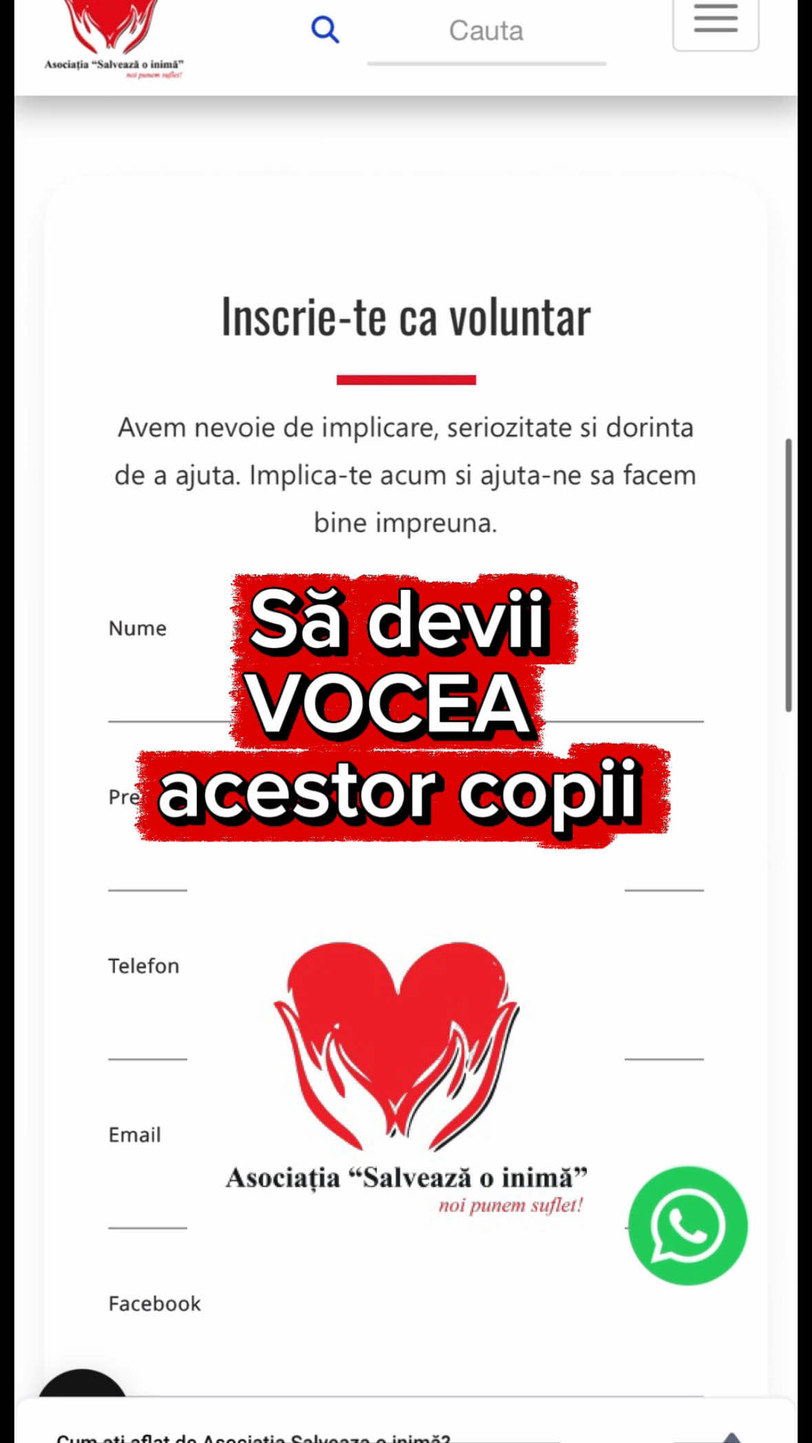 @Andrnt