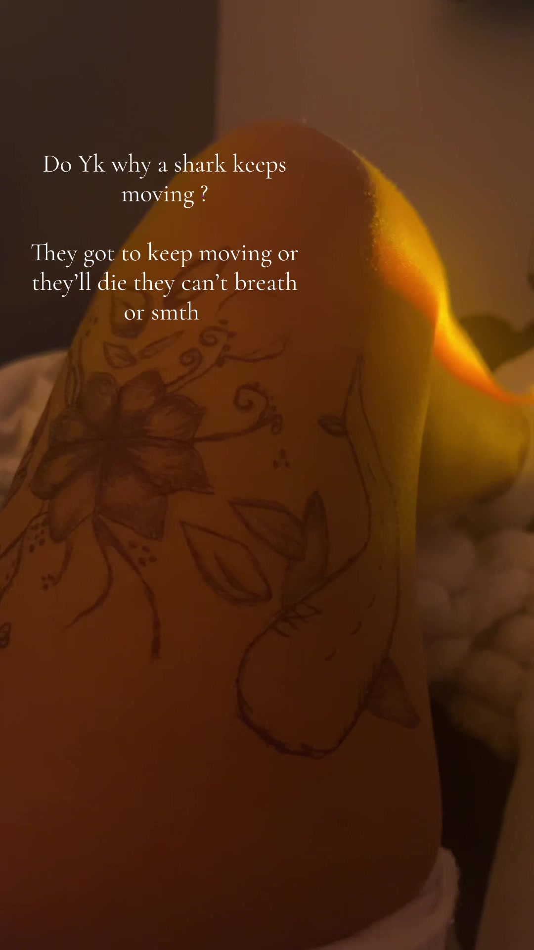 @xopops.smithxoxo