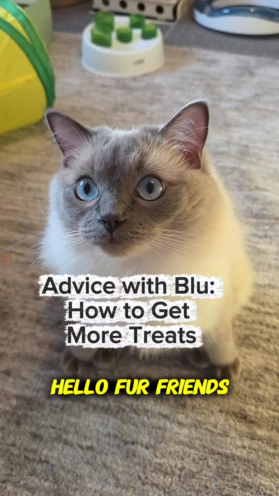 @DailyDoseOfBlu💙