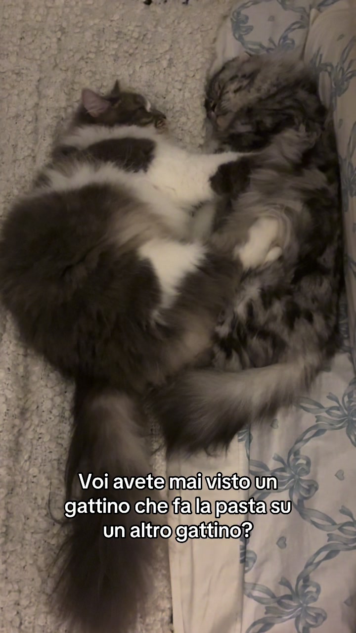 @Federica Nesti