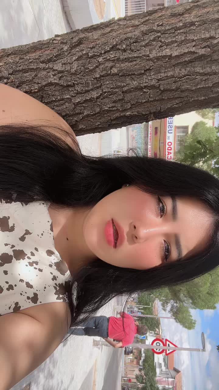 @ladicitajies