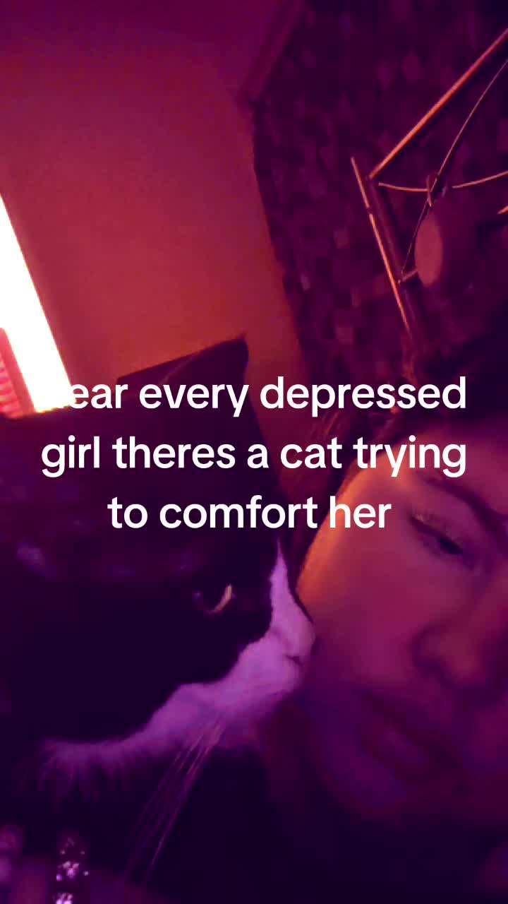 @abbiecastle118