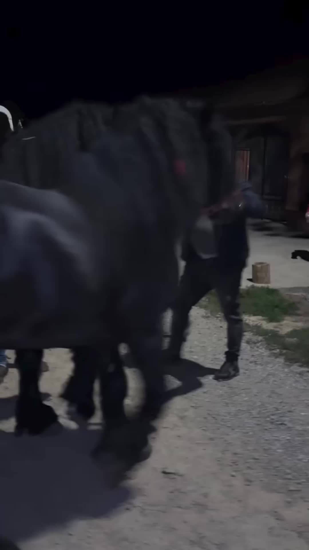 @🐴spartanu80🐴