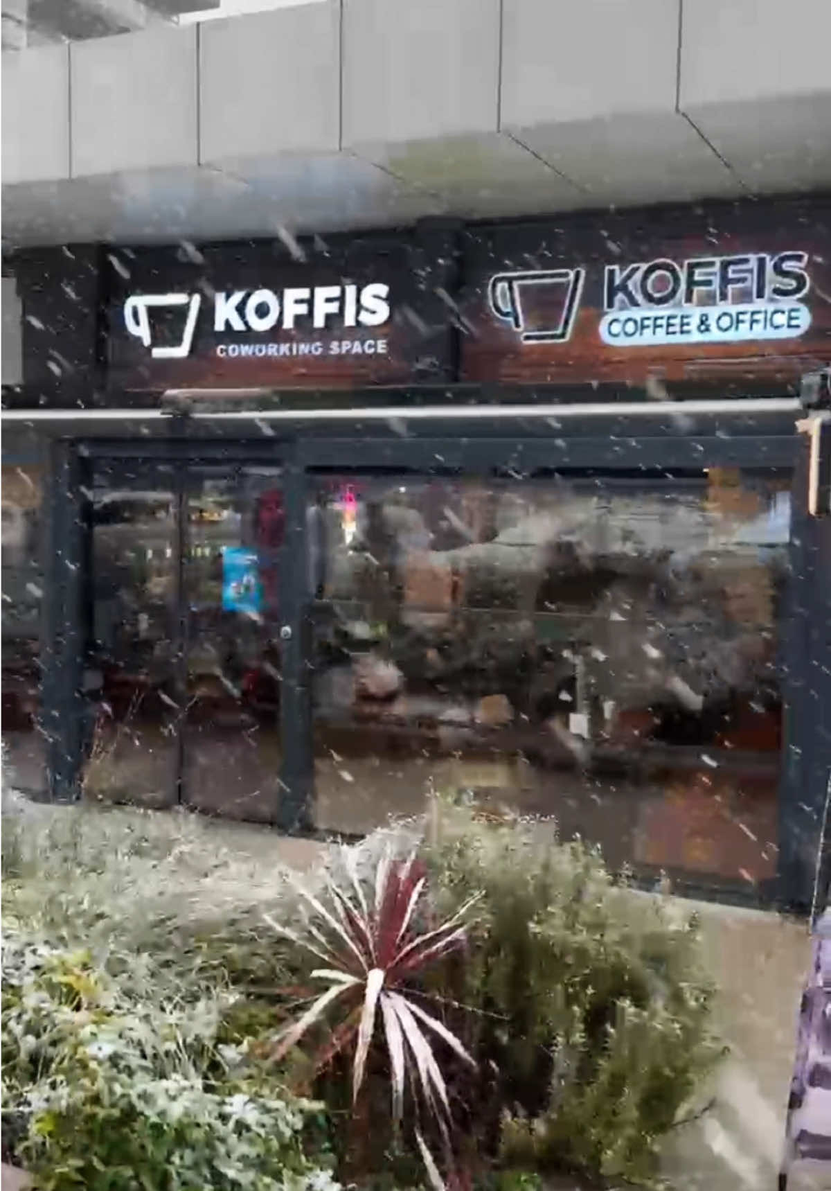 @koffis