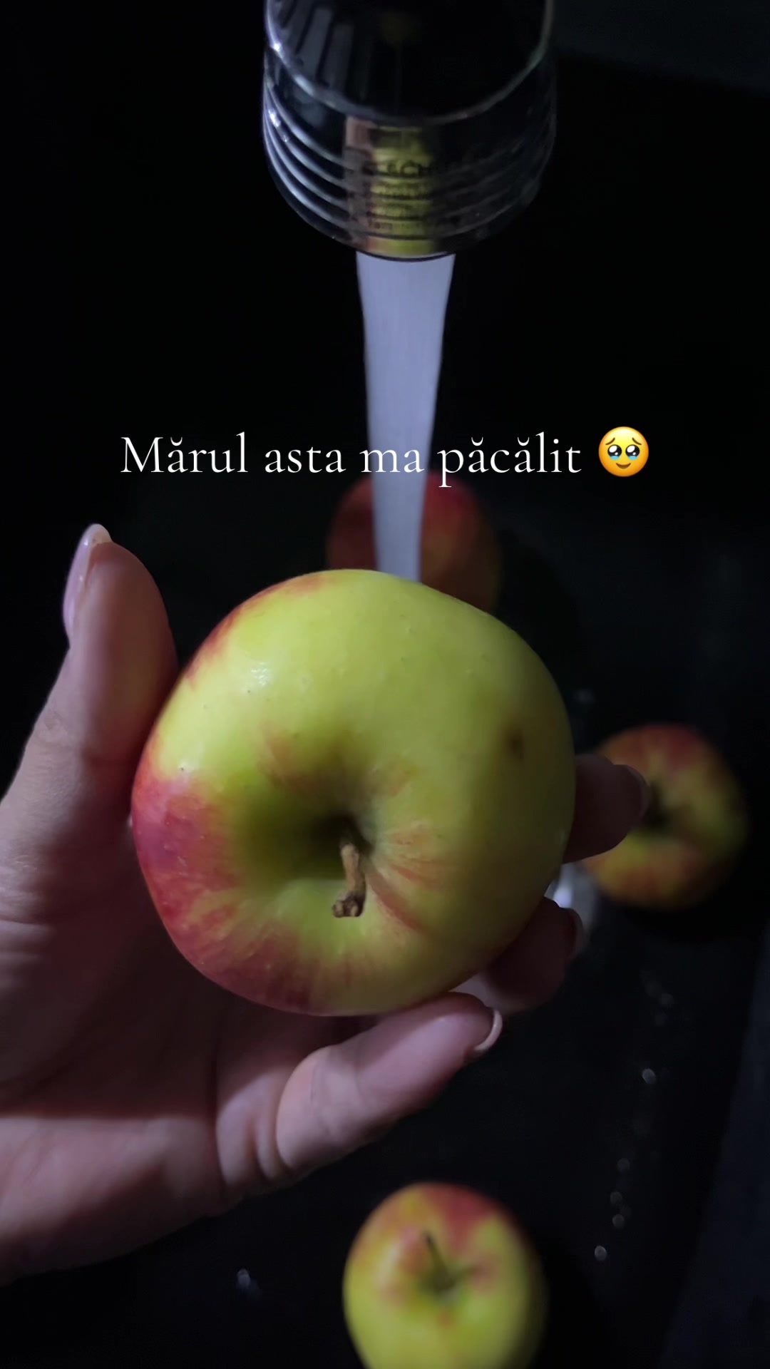 @Gärtner Cosmina