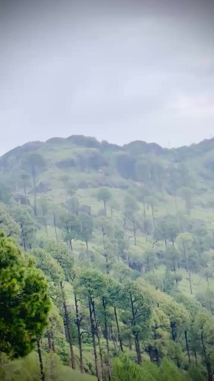 @فیصل ستی❤️🙂