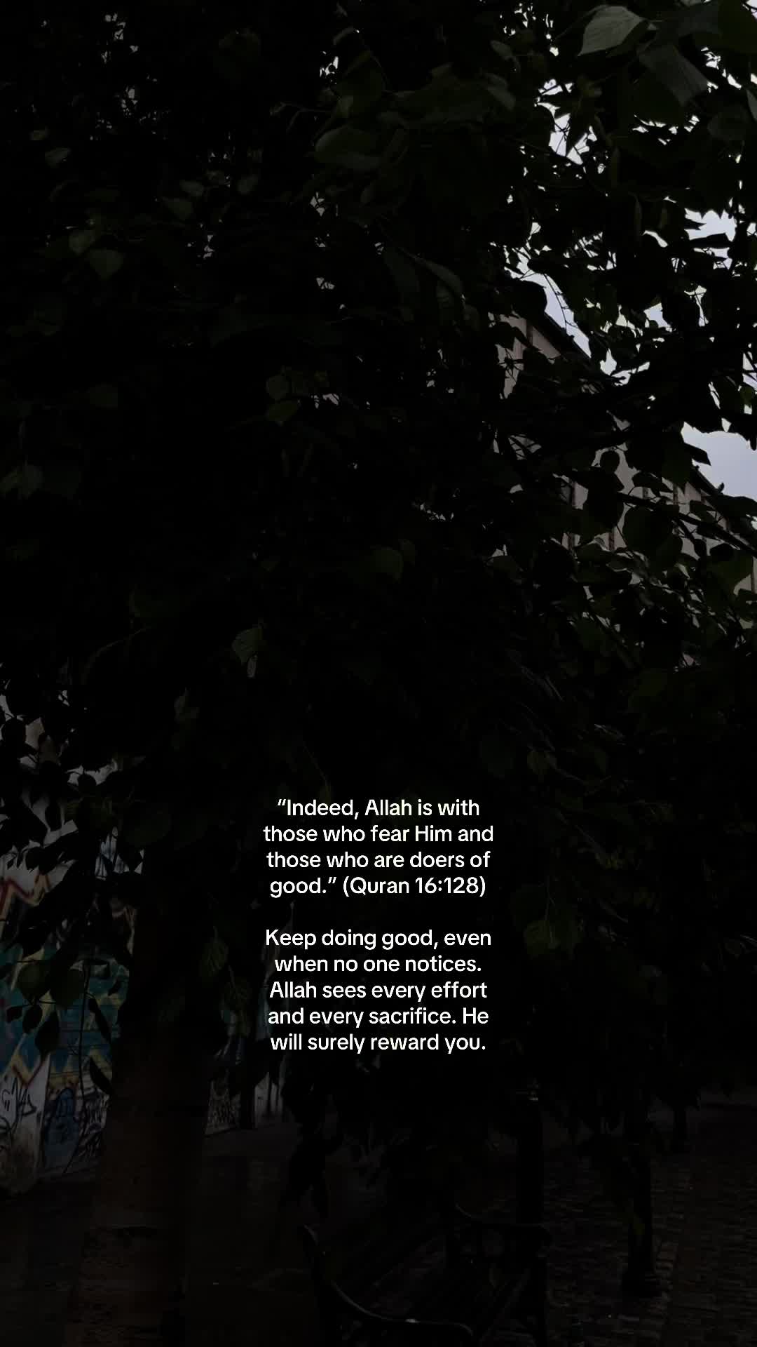 @No Doubt🕊️