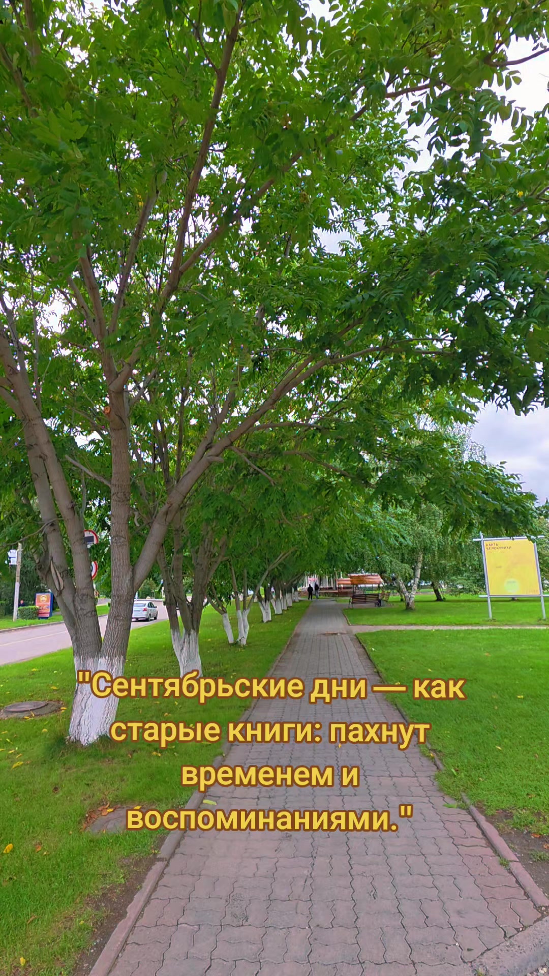 @Яркое Лето