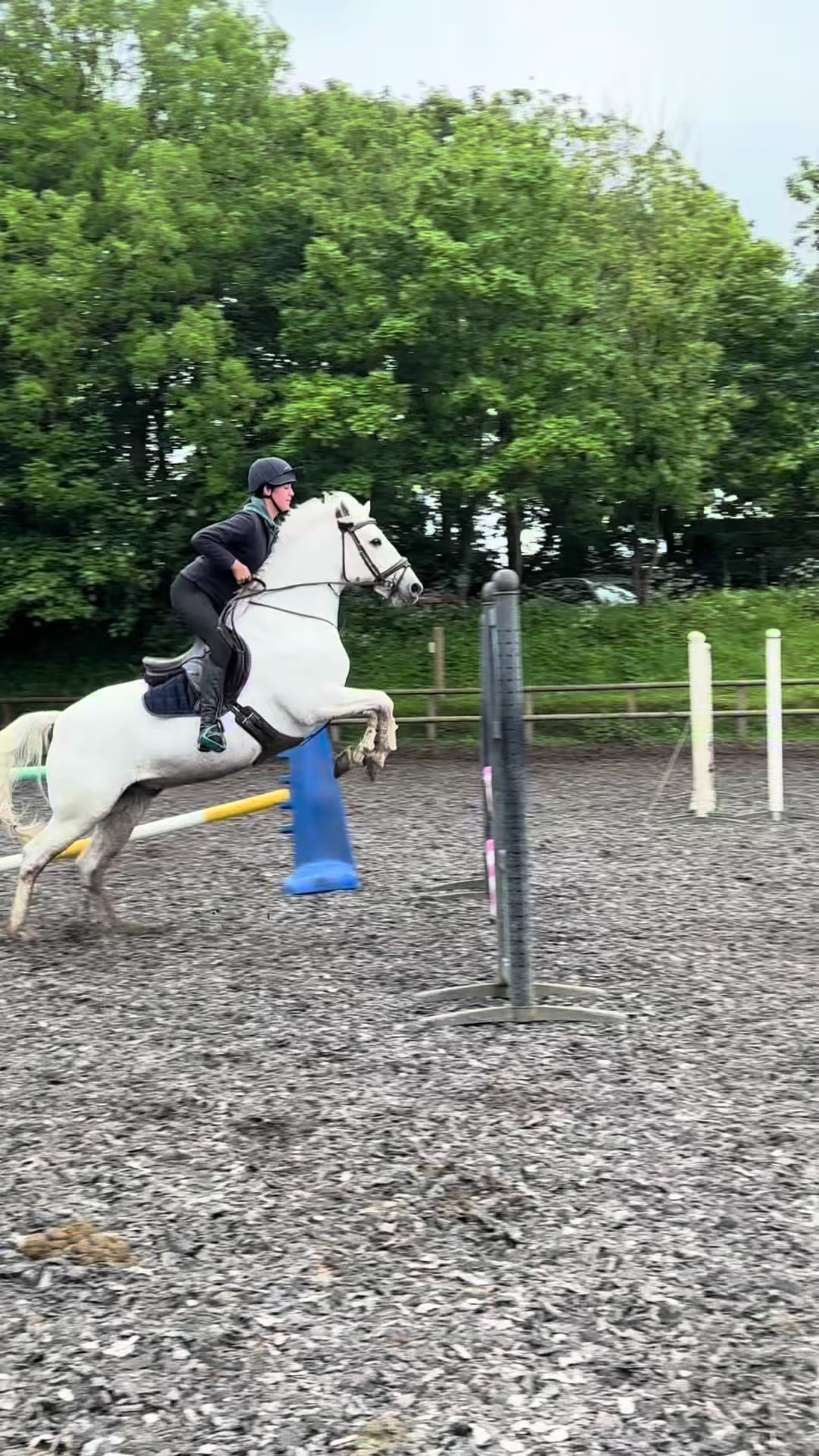 @amelia_showjumping2