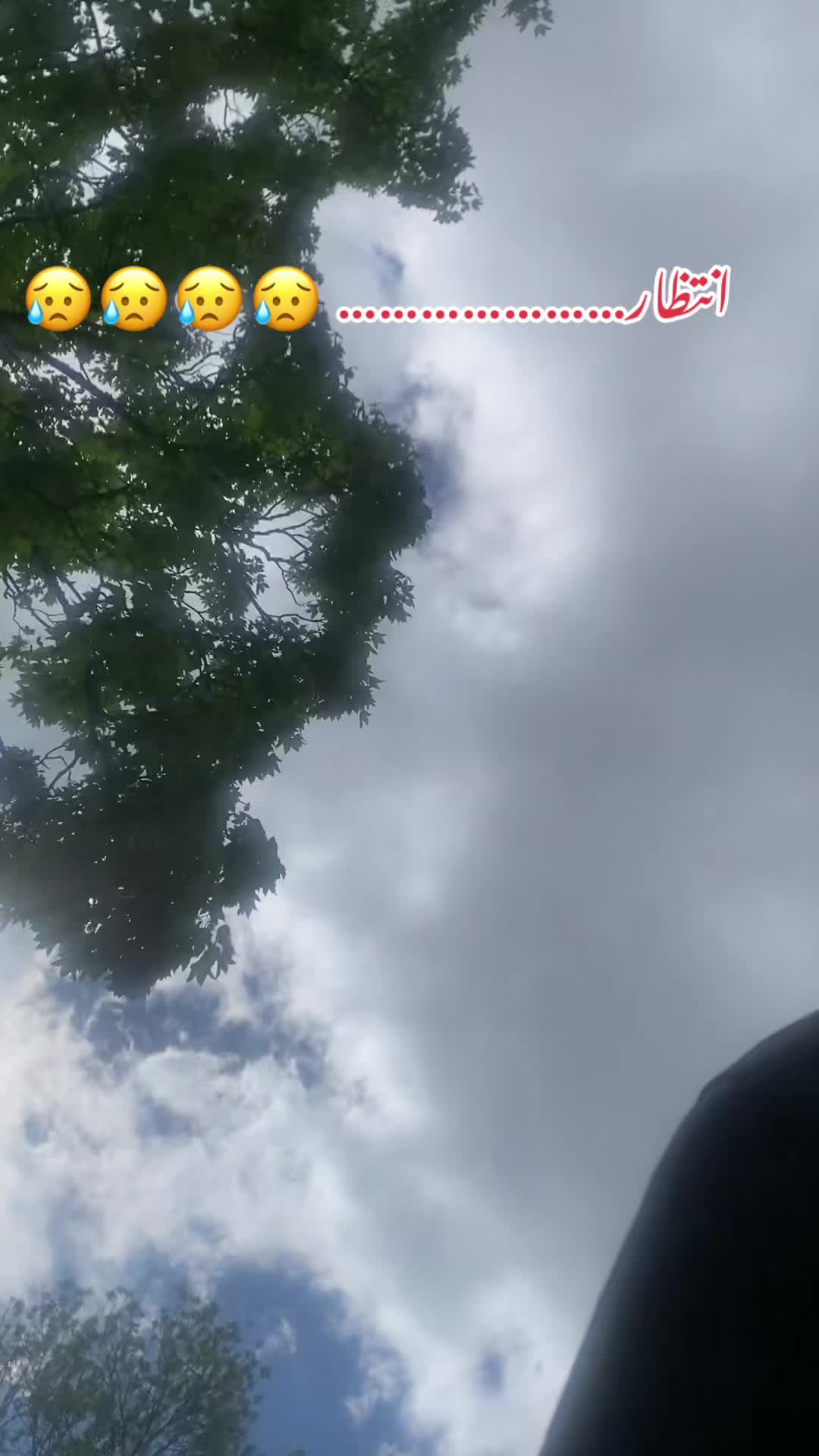 @pkboy