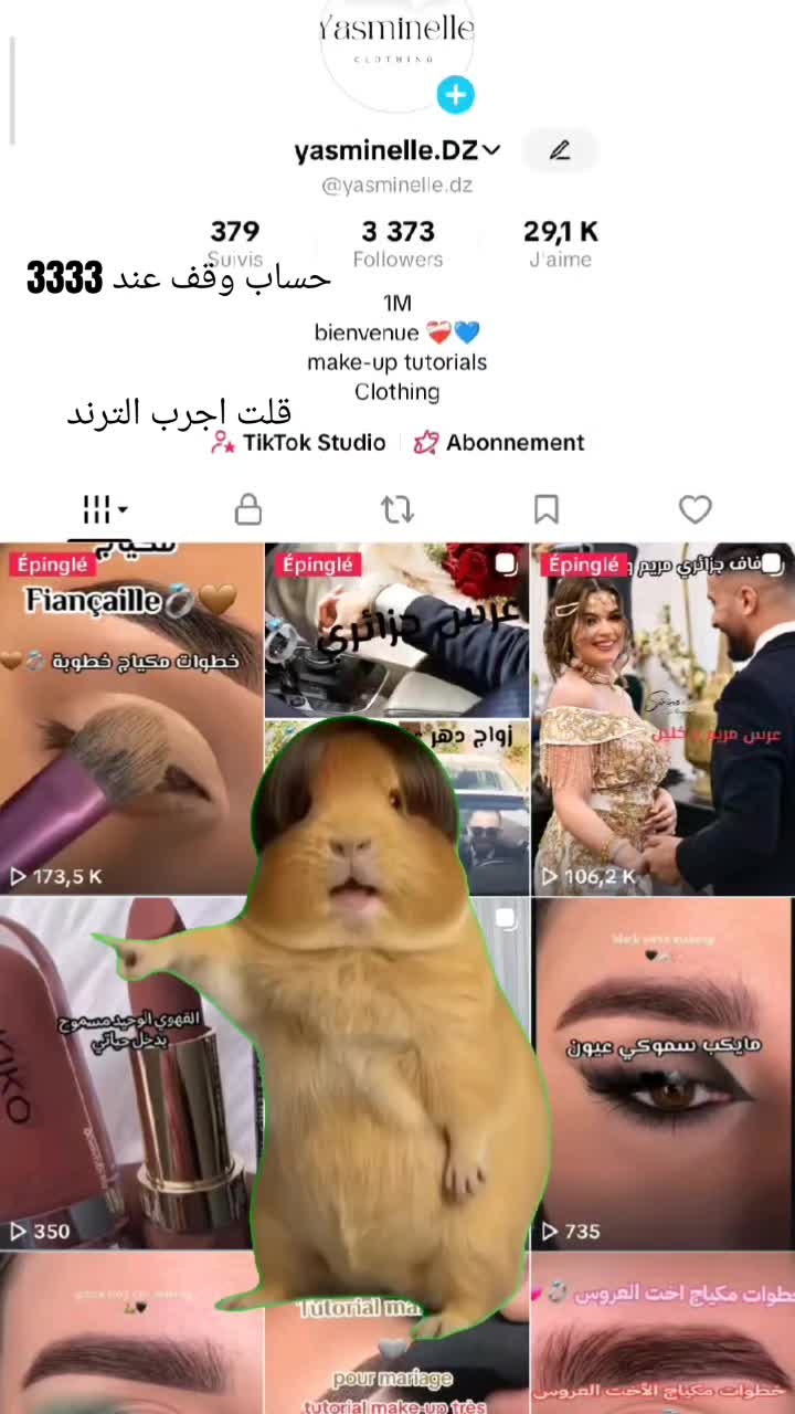 @yasminelle.DZ