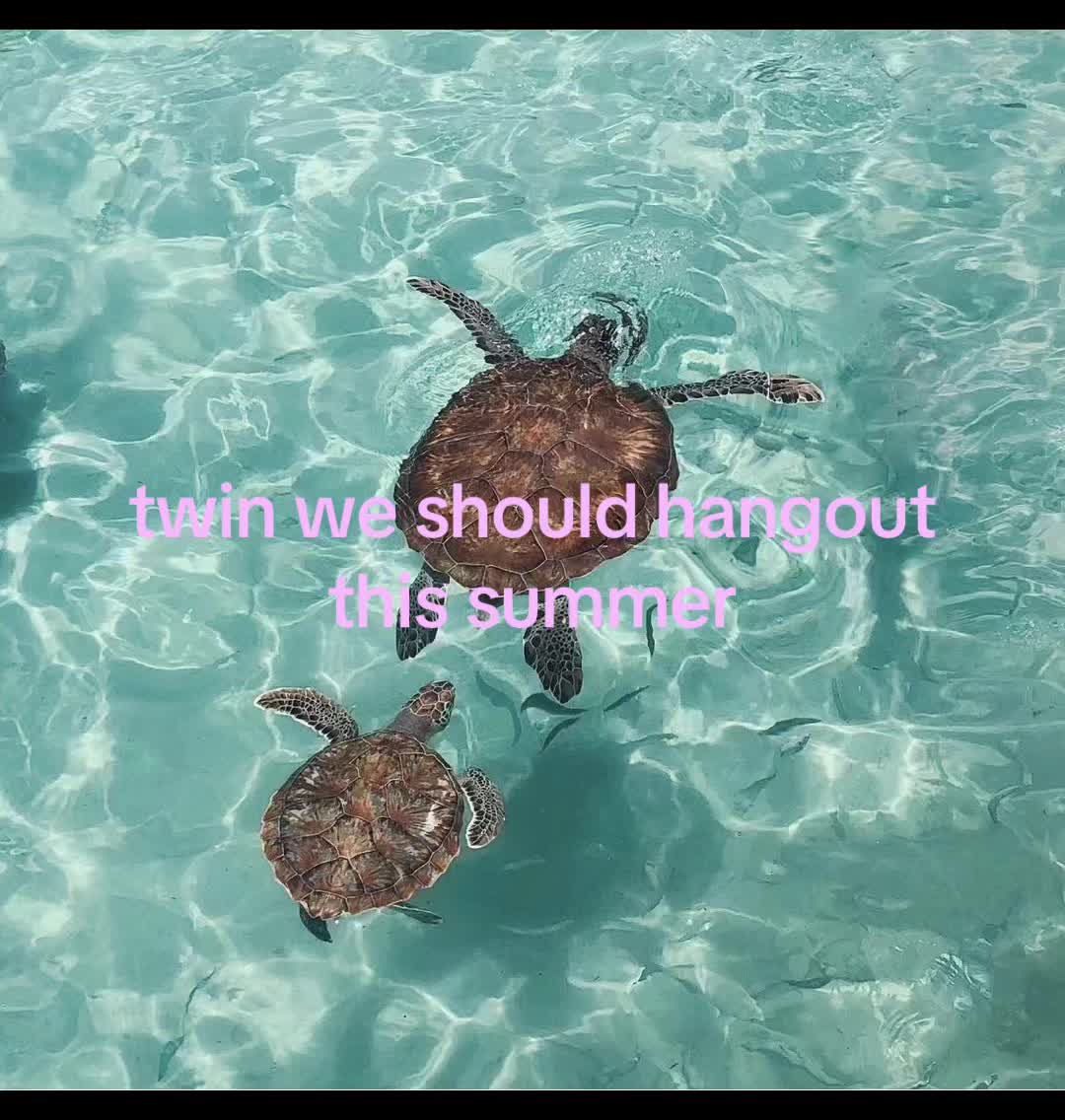 @secretlifeofsomeone