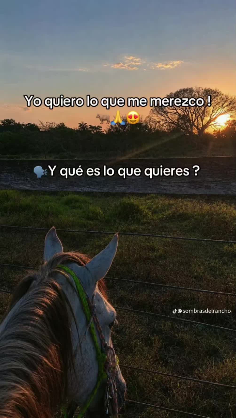 @🍀Arcos 🍀🧎&zwj;♂️🍁🦅🎹🇲🇽