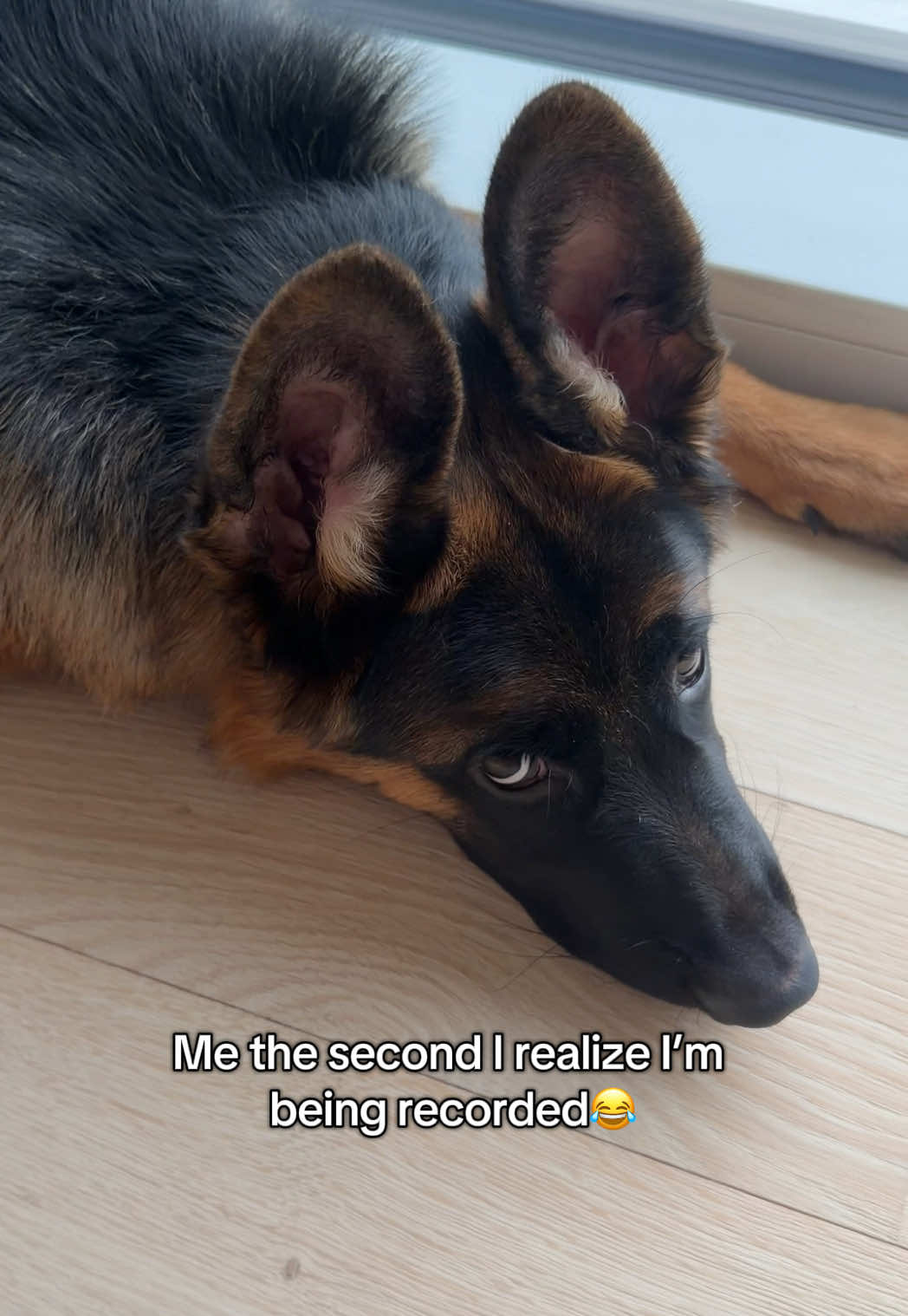 @gsd.kuba