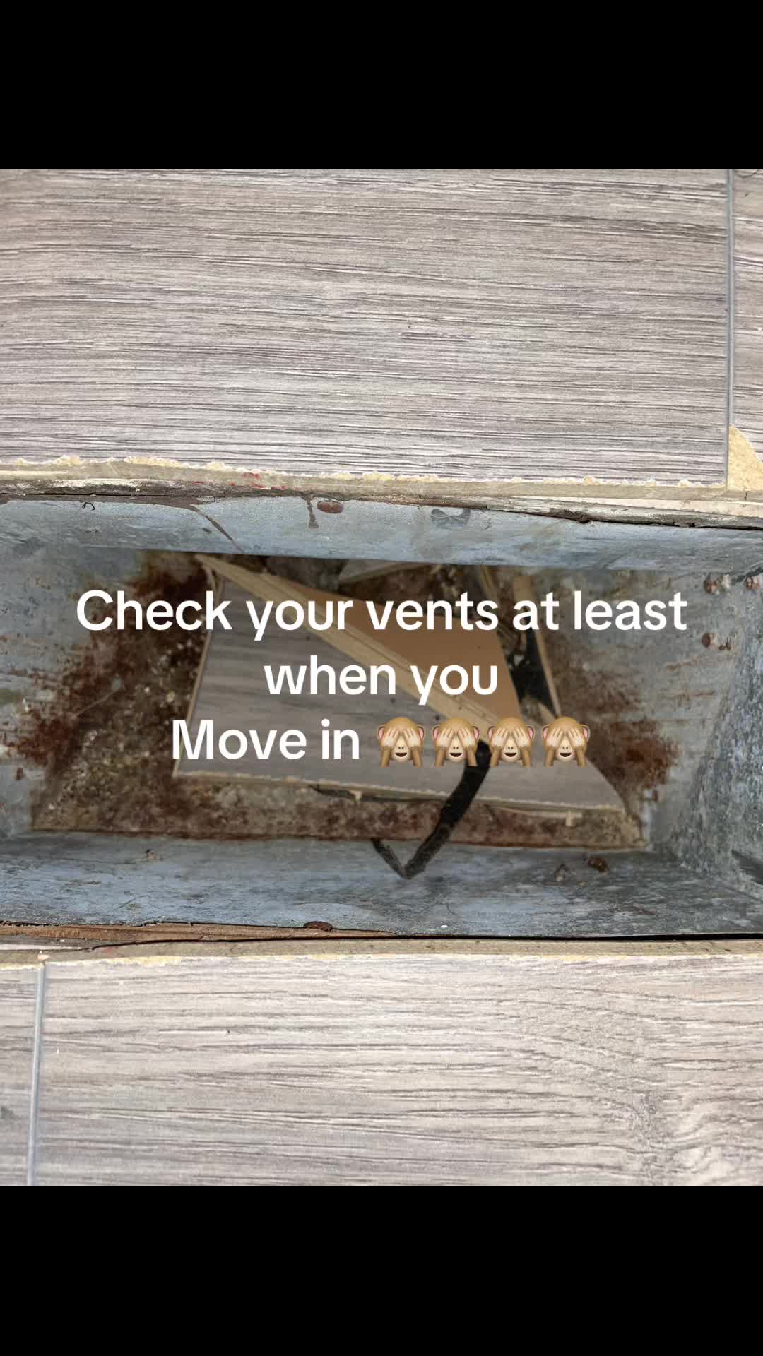 @Theductmanz