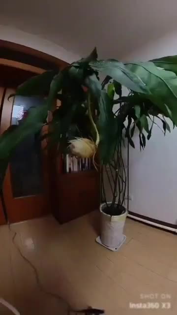 @knowledgecollector360