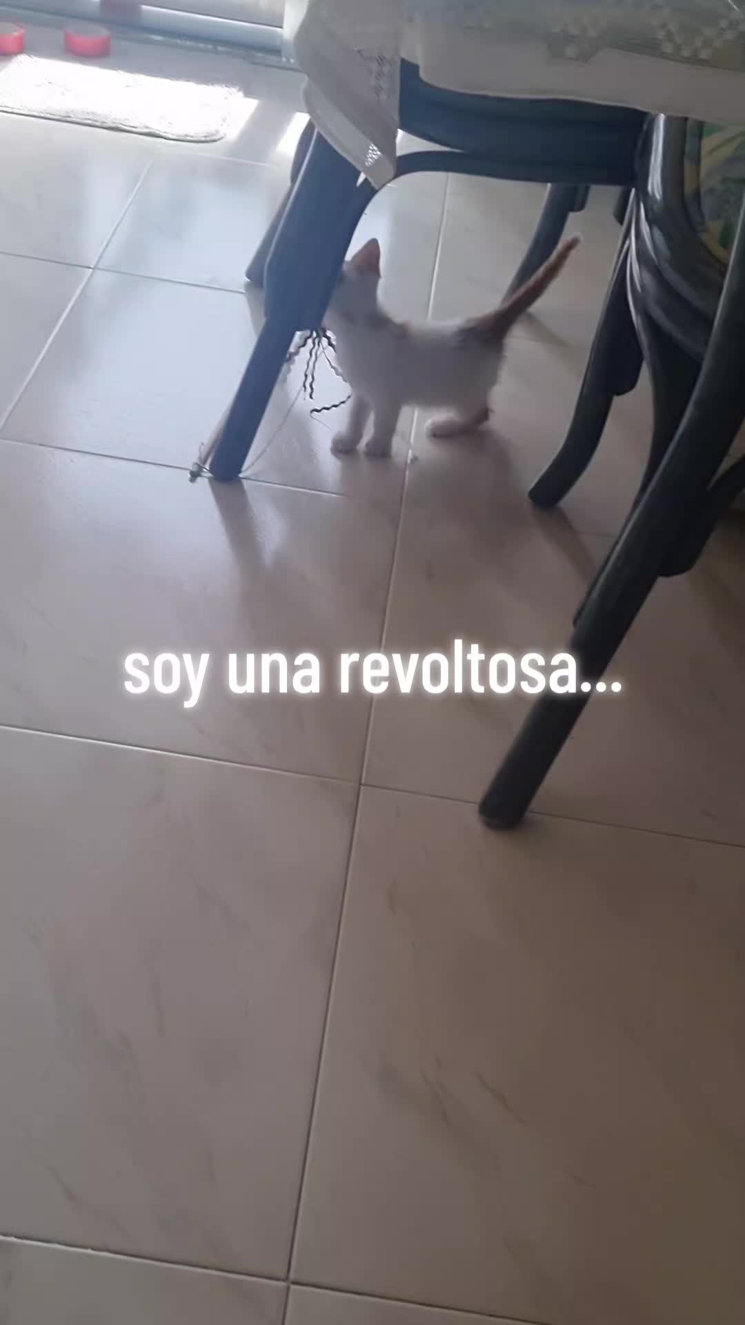 @chiara y lia y sus aventuras..