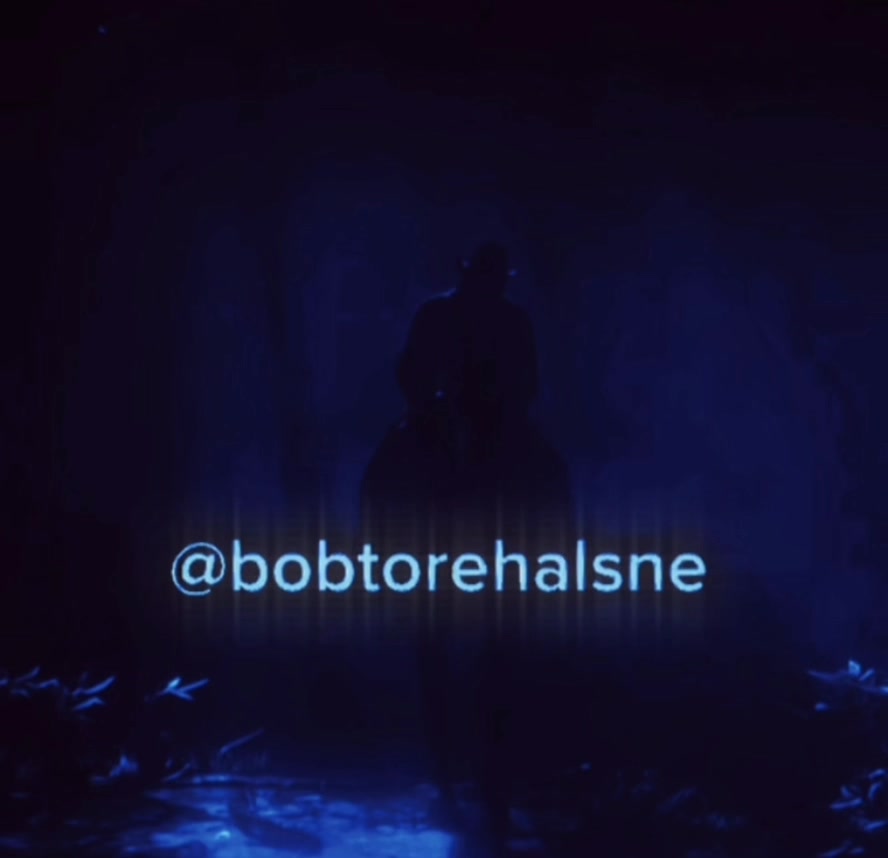@Bobtoureee