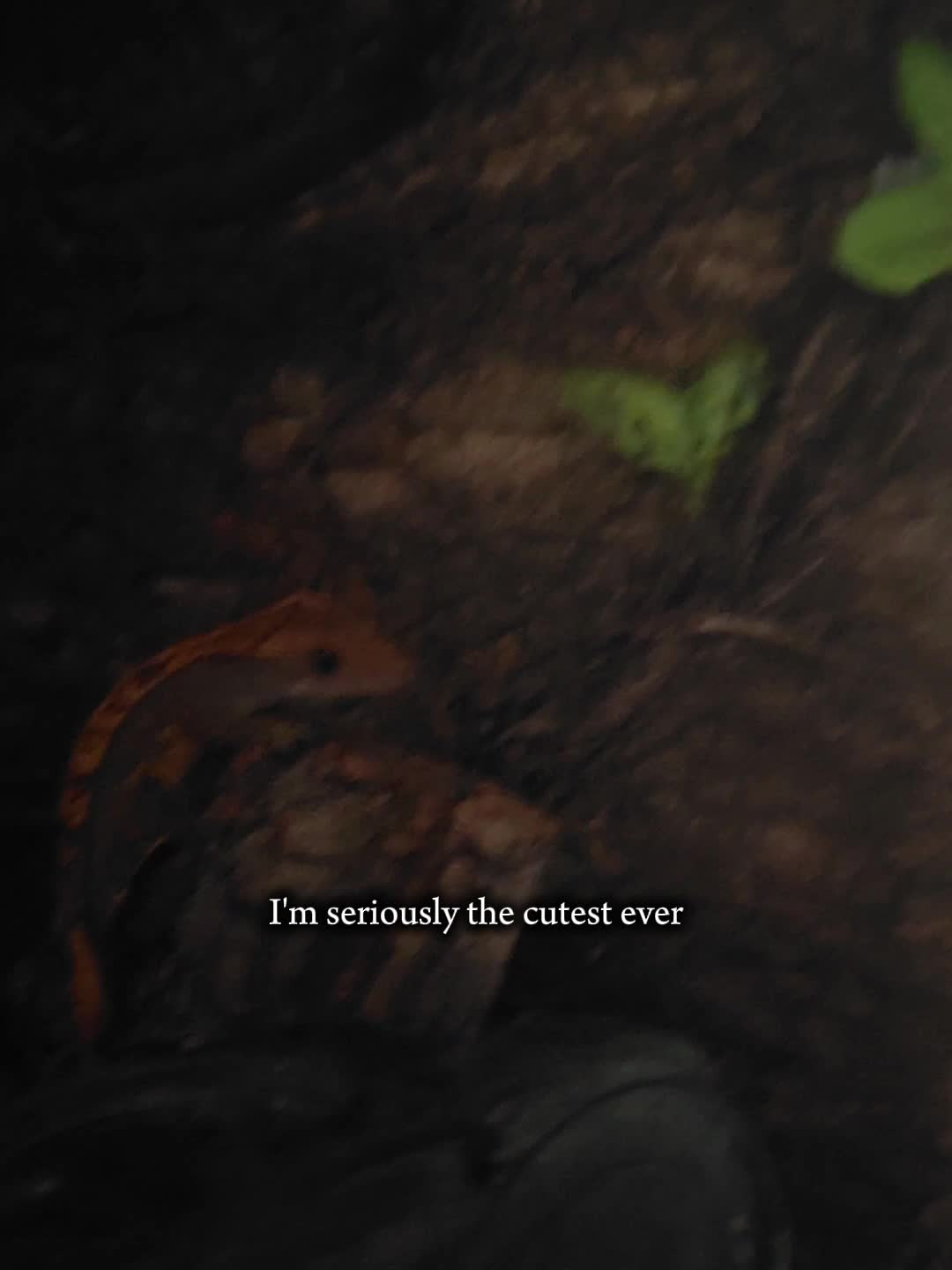 @ 