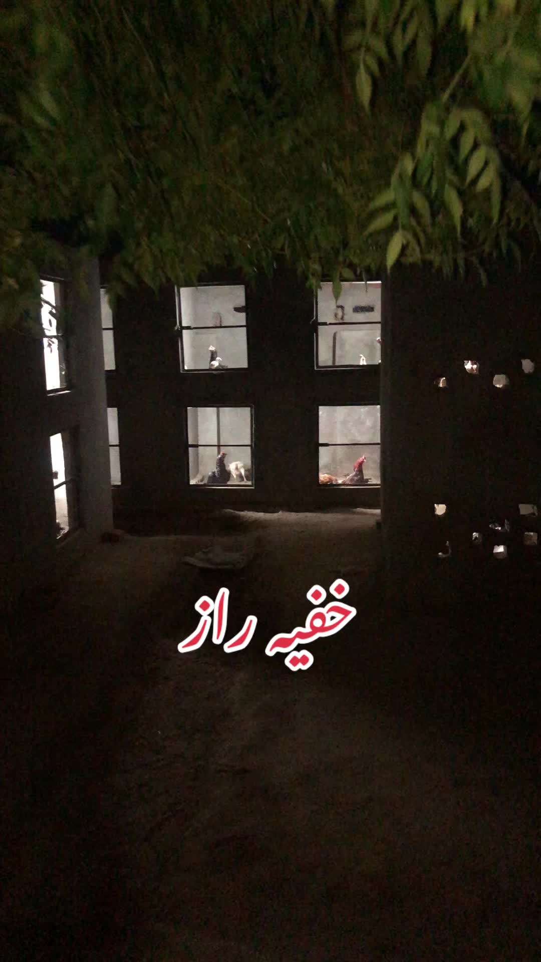 @Poultry Markaz