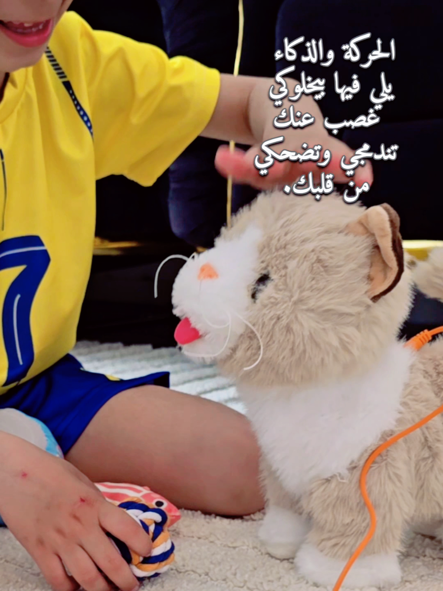 @ᥫ᭡Sozan Kendy