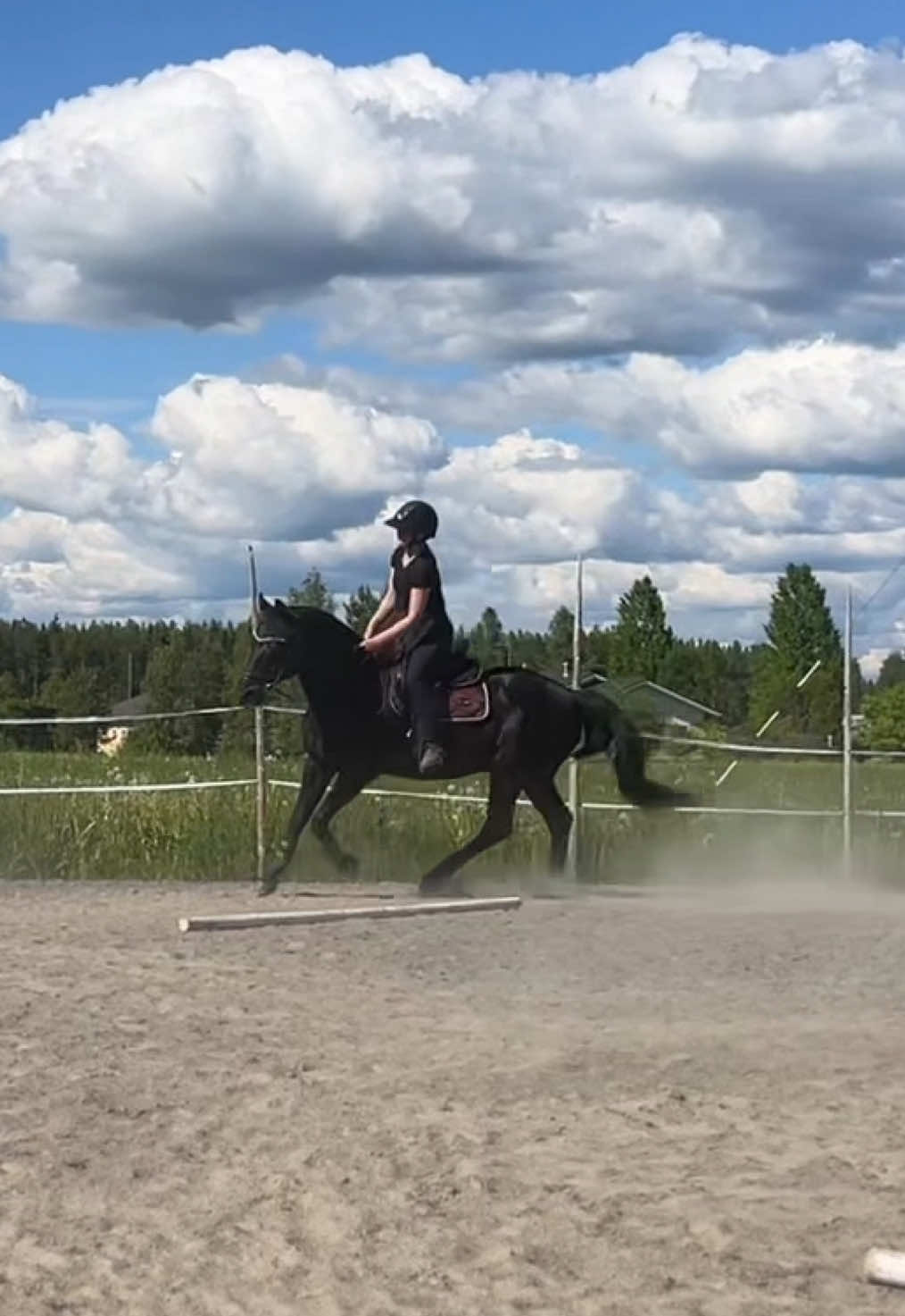 @krista || ig kayhkodressage