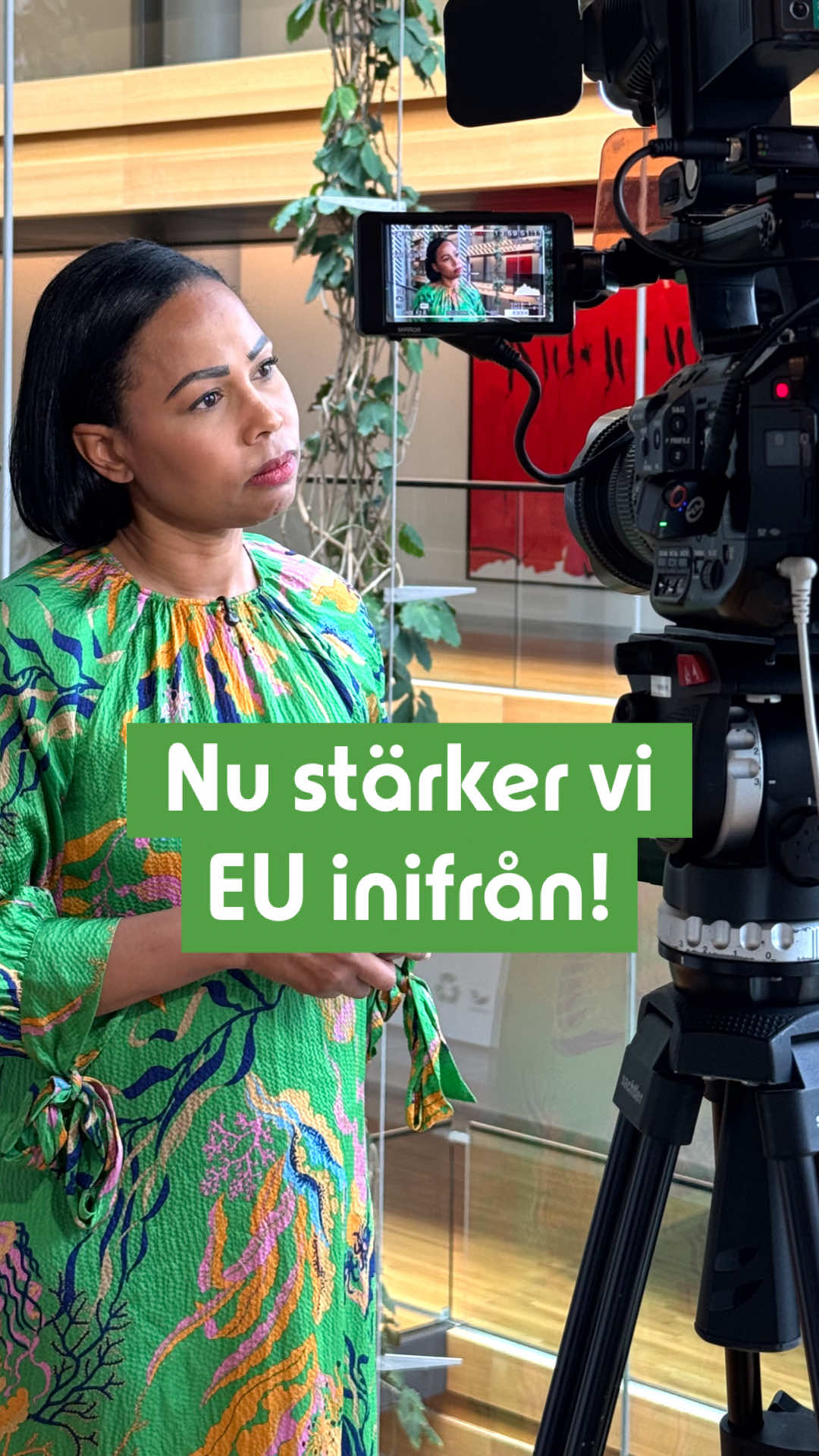 @Alice Bah Kuhnke