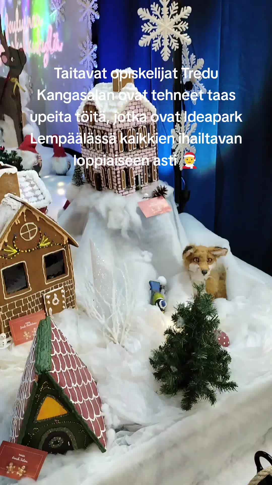 @tiinaheinonen
