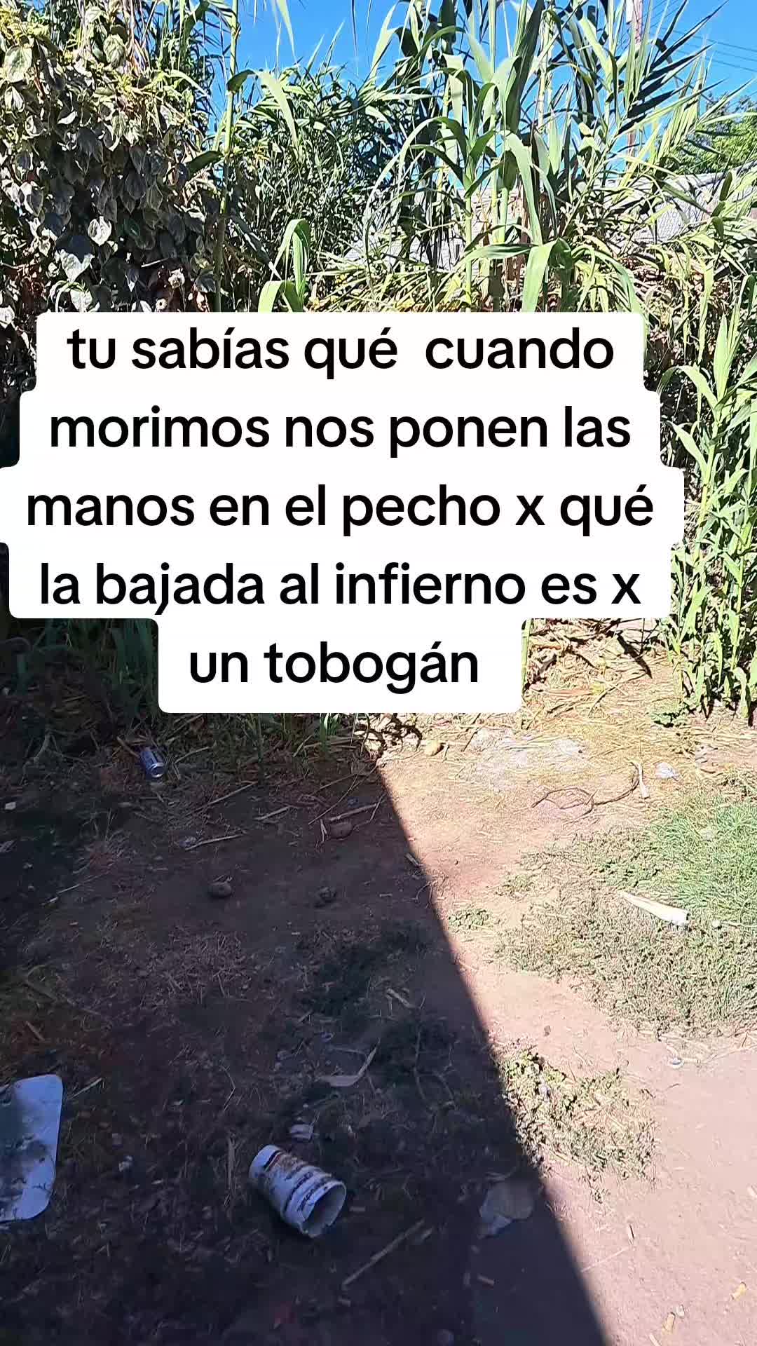 @el barbas de Jalisco