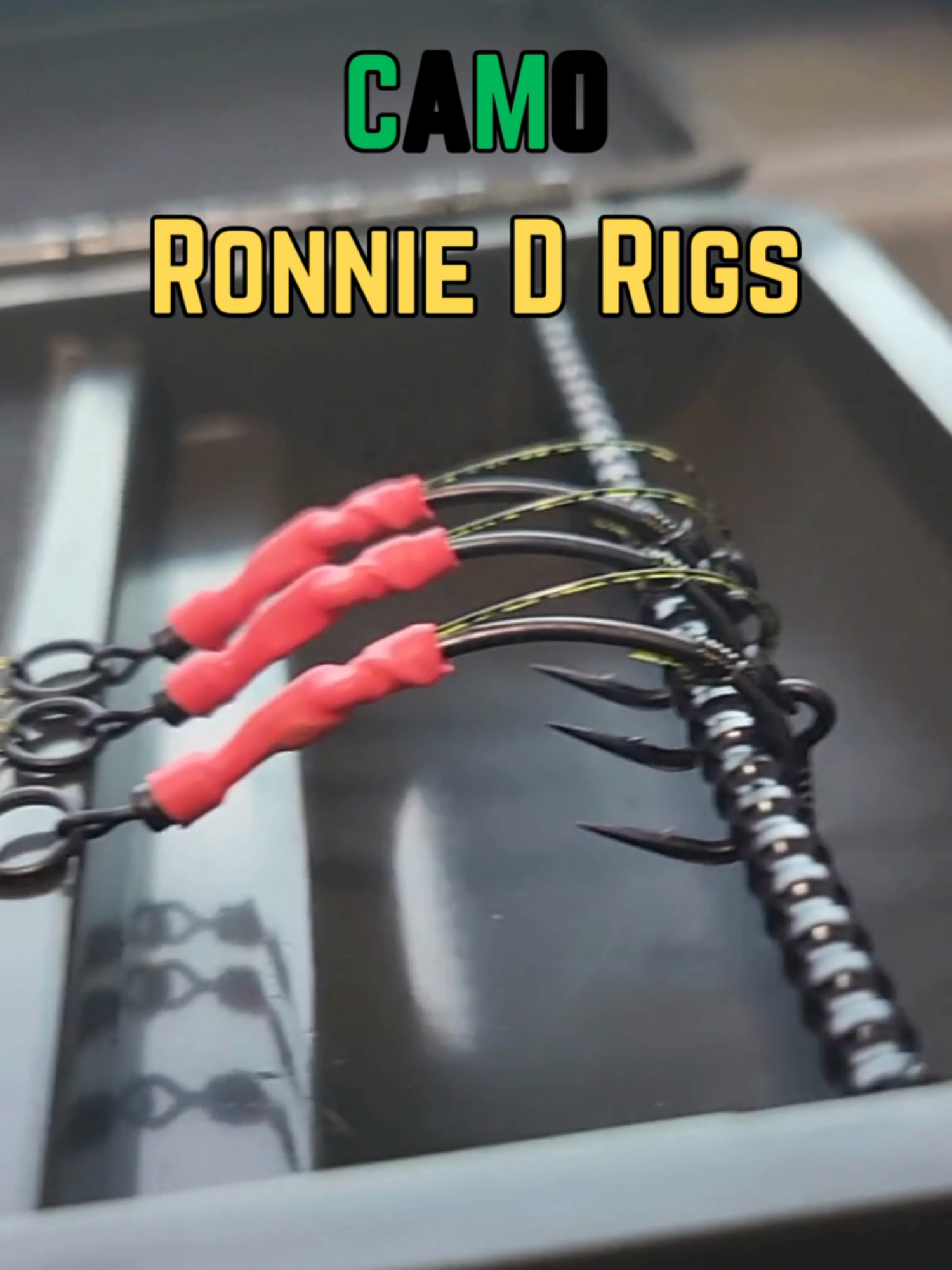 @Thats Carpy Rigs