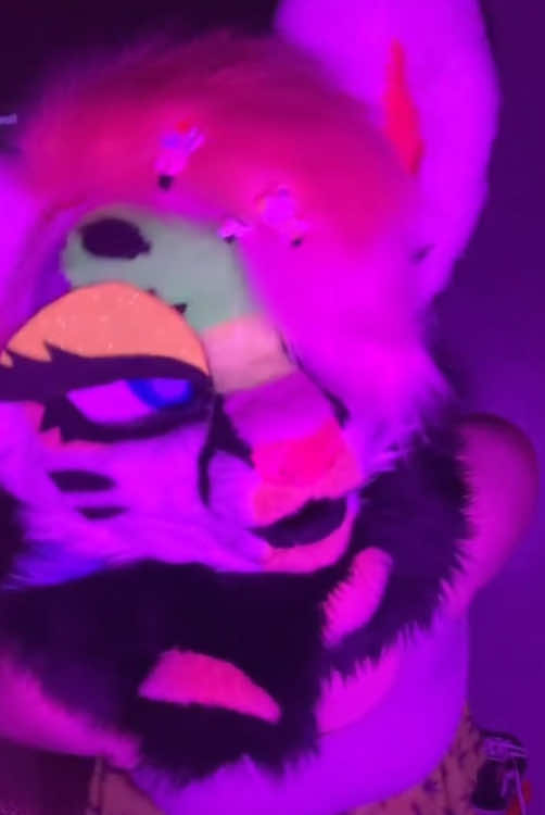 @Liger~Liger🐾🍉->FSC 26!!!