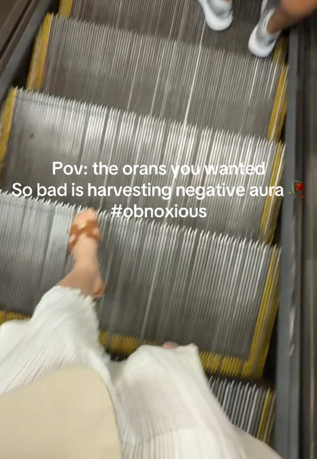 @annoyingtinybear
