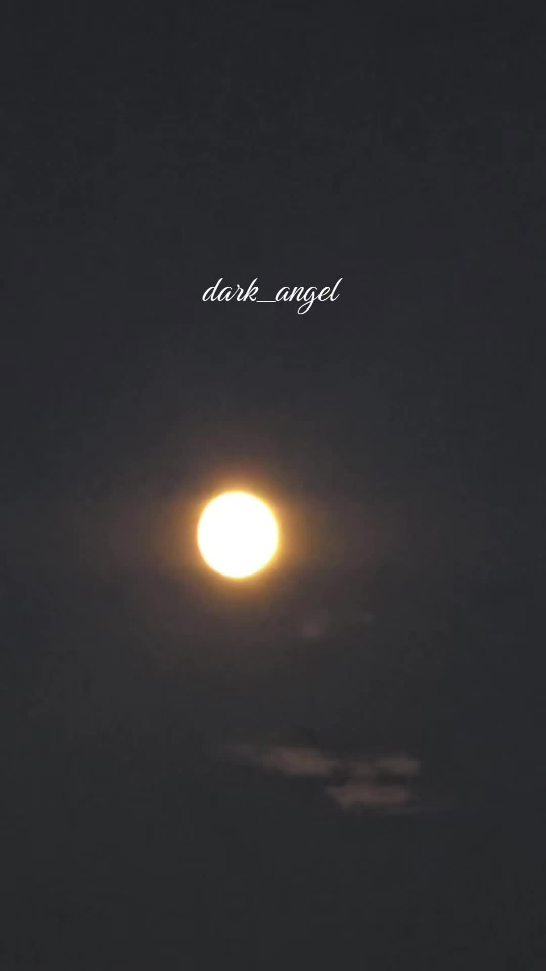 @Dark Angel