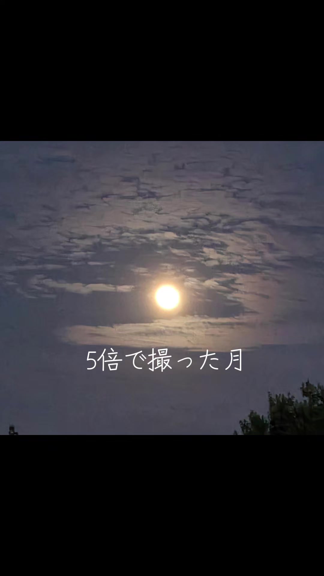 @ジョージyama ^#~#^