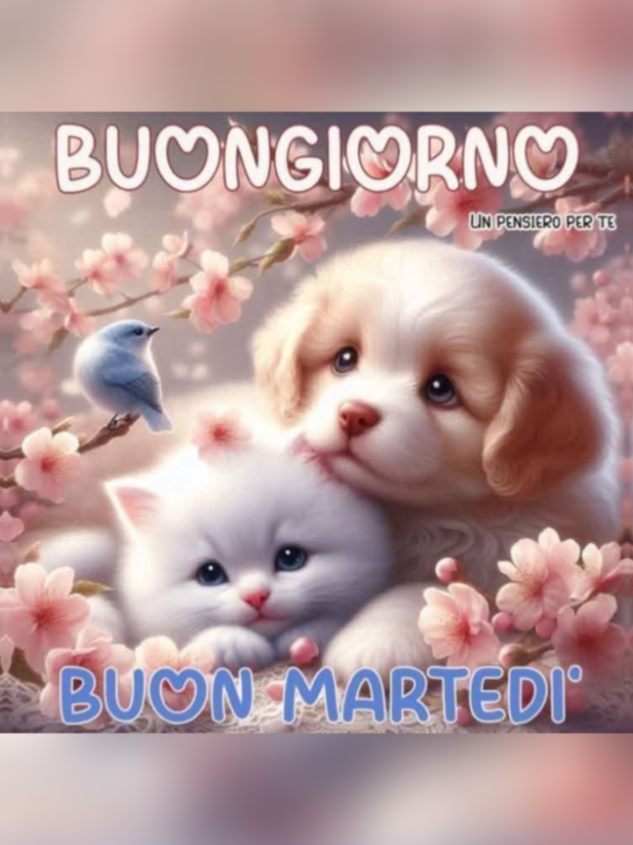 @BigPuff