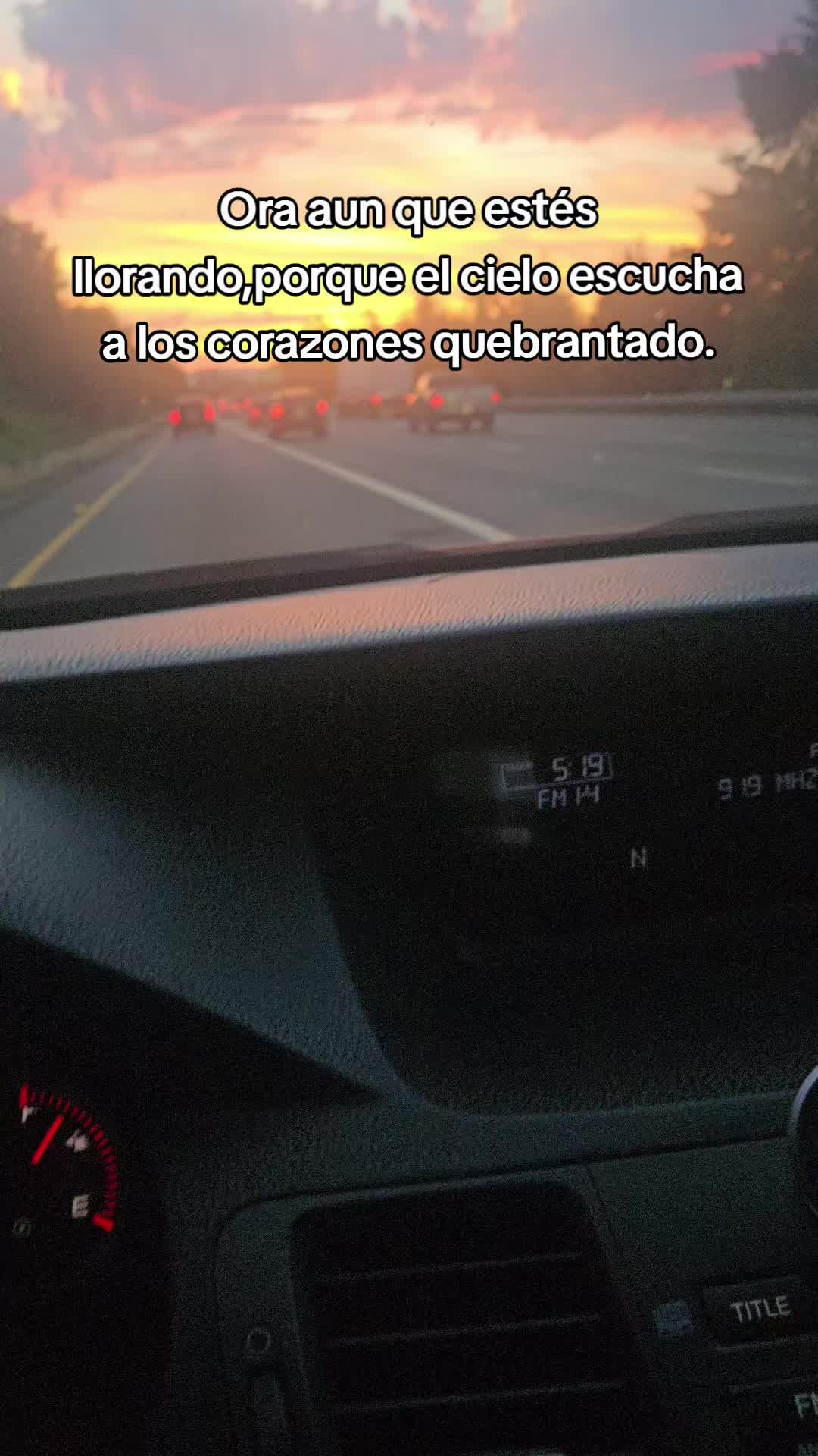 @manuelelvick🎶🕊